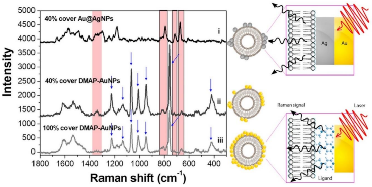 Cancers 13 02179 g005 Cancers 13 02179 g005