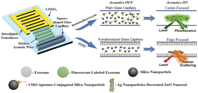 Cancers 13 02179 g010 Cancers 13 02179 g010