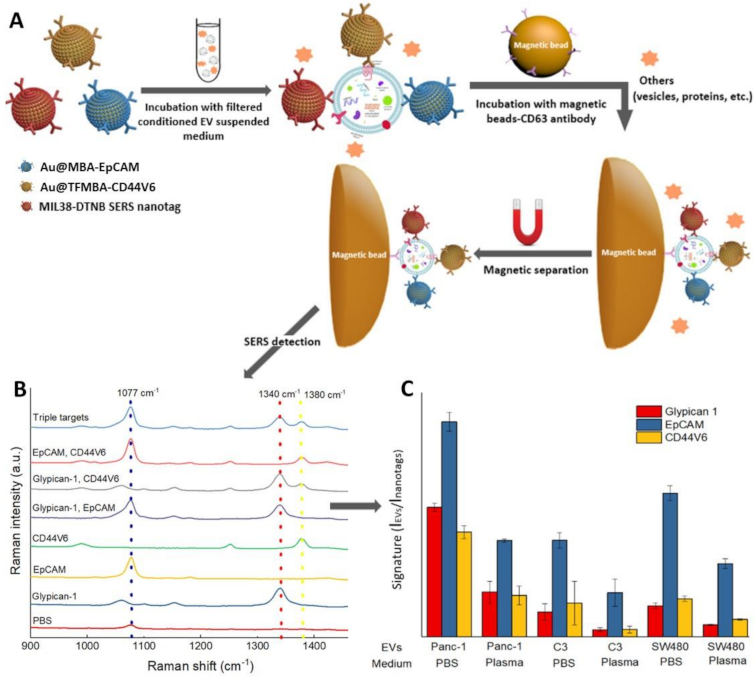 Cancers 13 02179 g012 Cancers 13 02179 g012