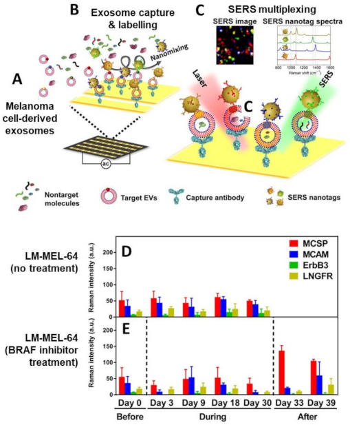 Cancers 13 02179 g014 Cancers 13 02179 g014