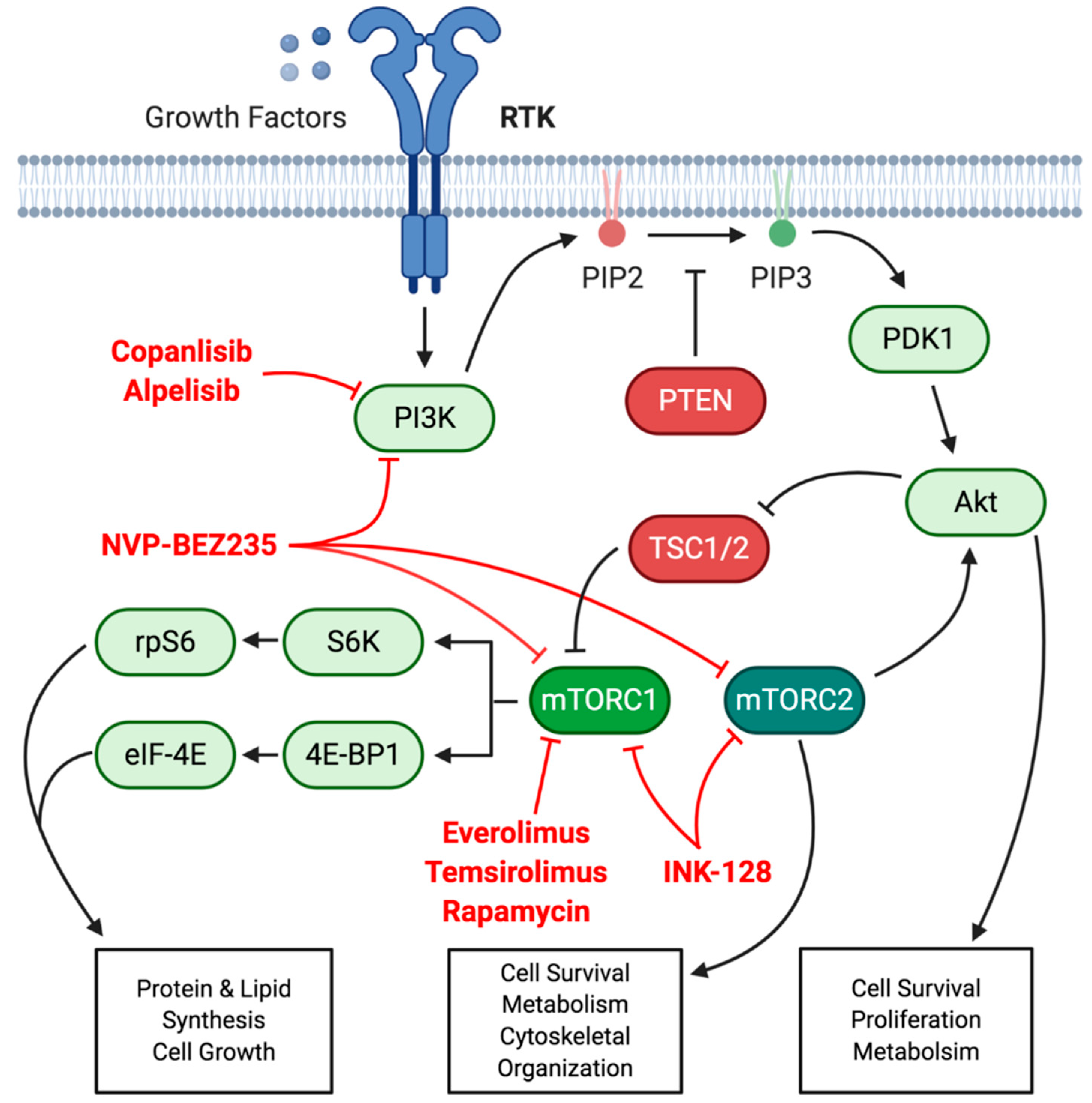 Cancers 13 02180 g001