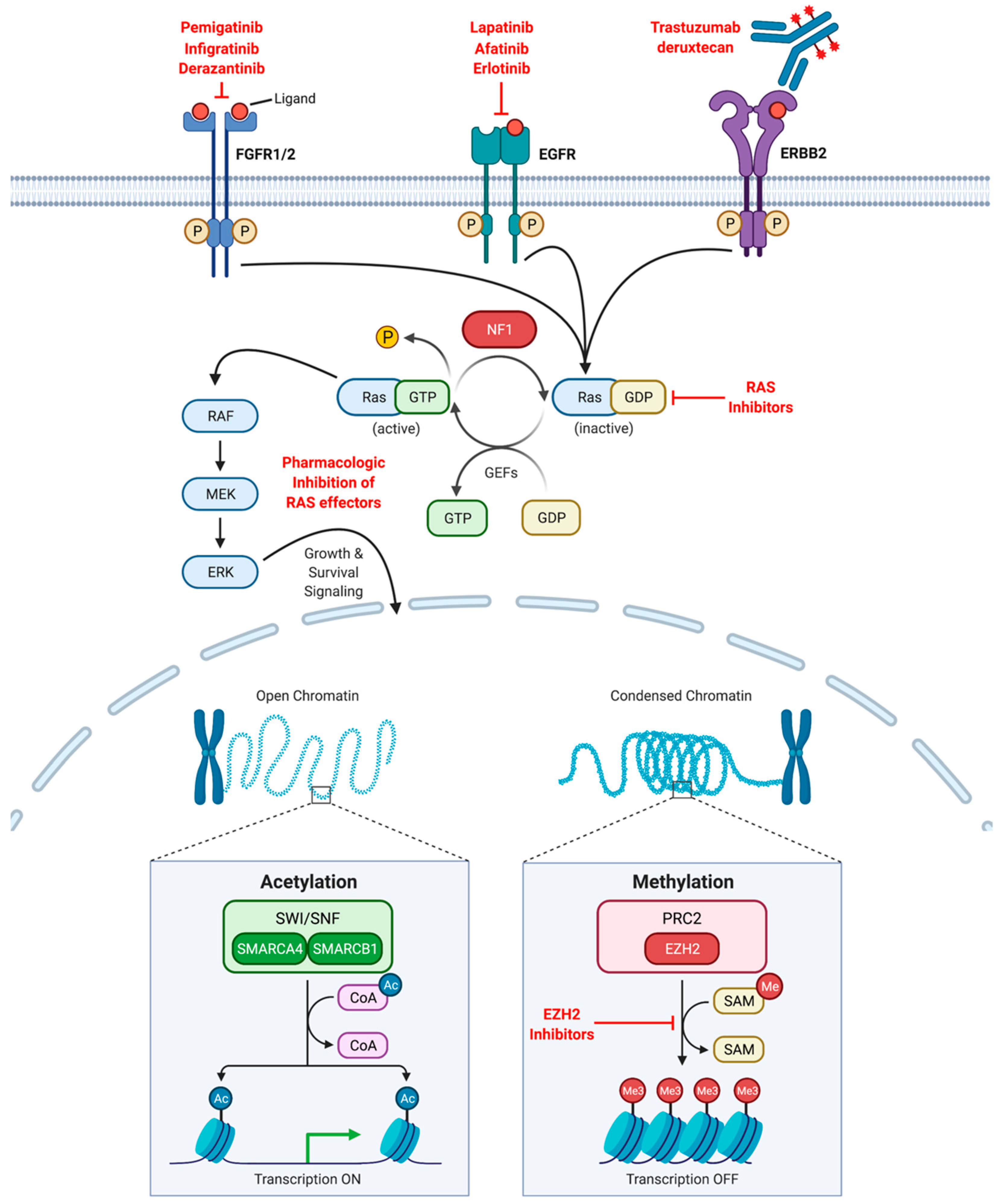 Cancers 13 02180 g002