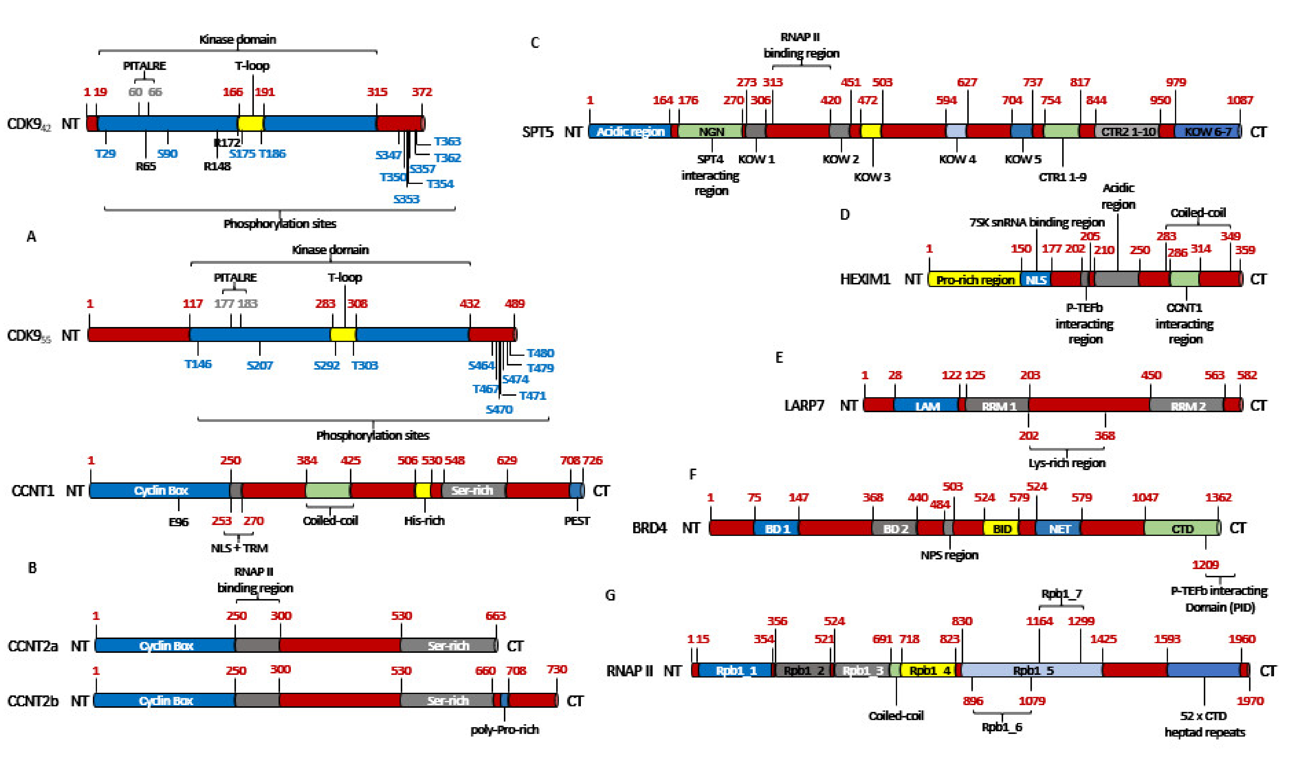 Cancers 13 02181 g002