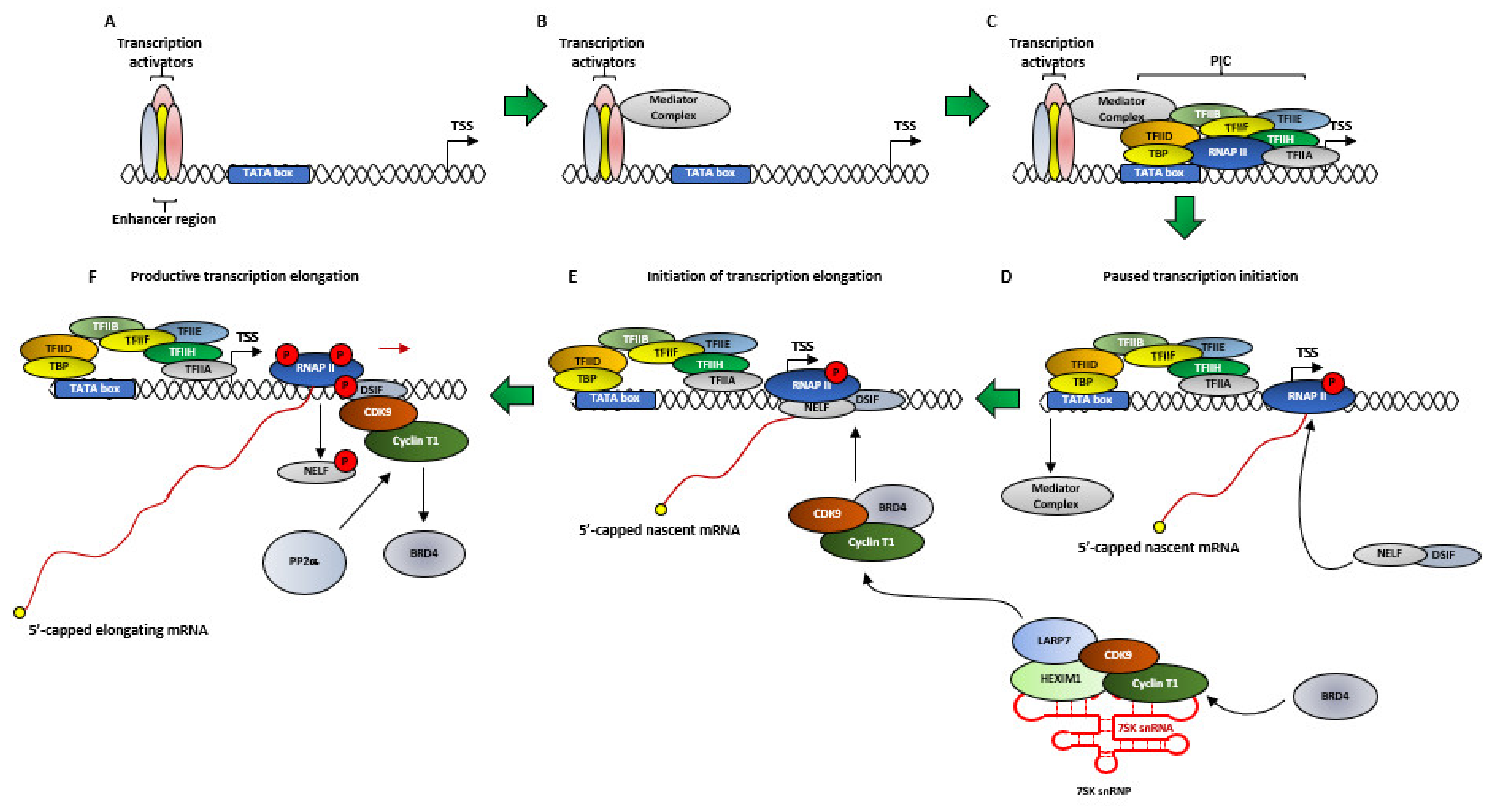 Cancers 13 02181 g004