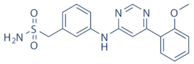 Cancers 13 02181 i003