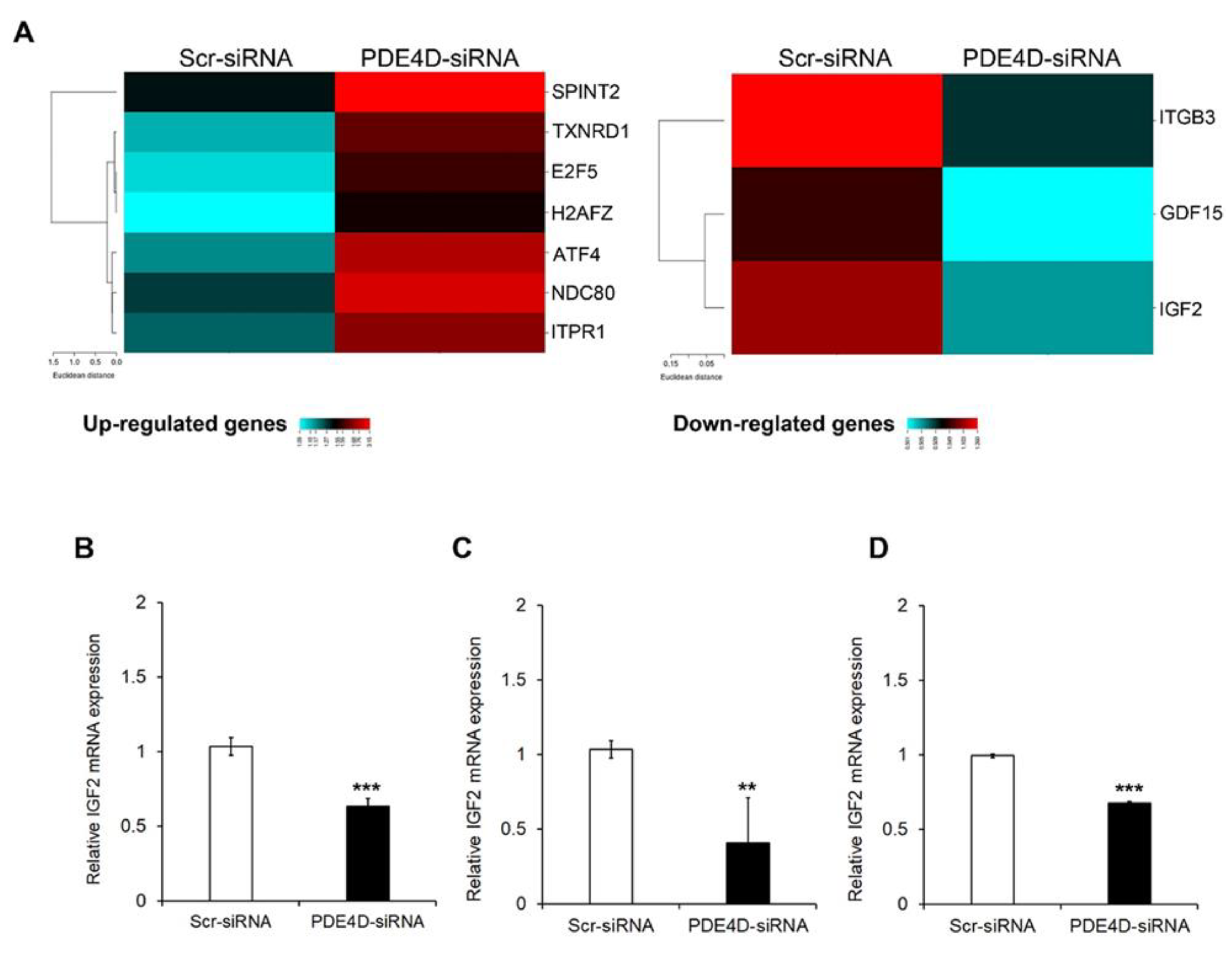 Cancers 13 02182 g005
