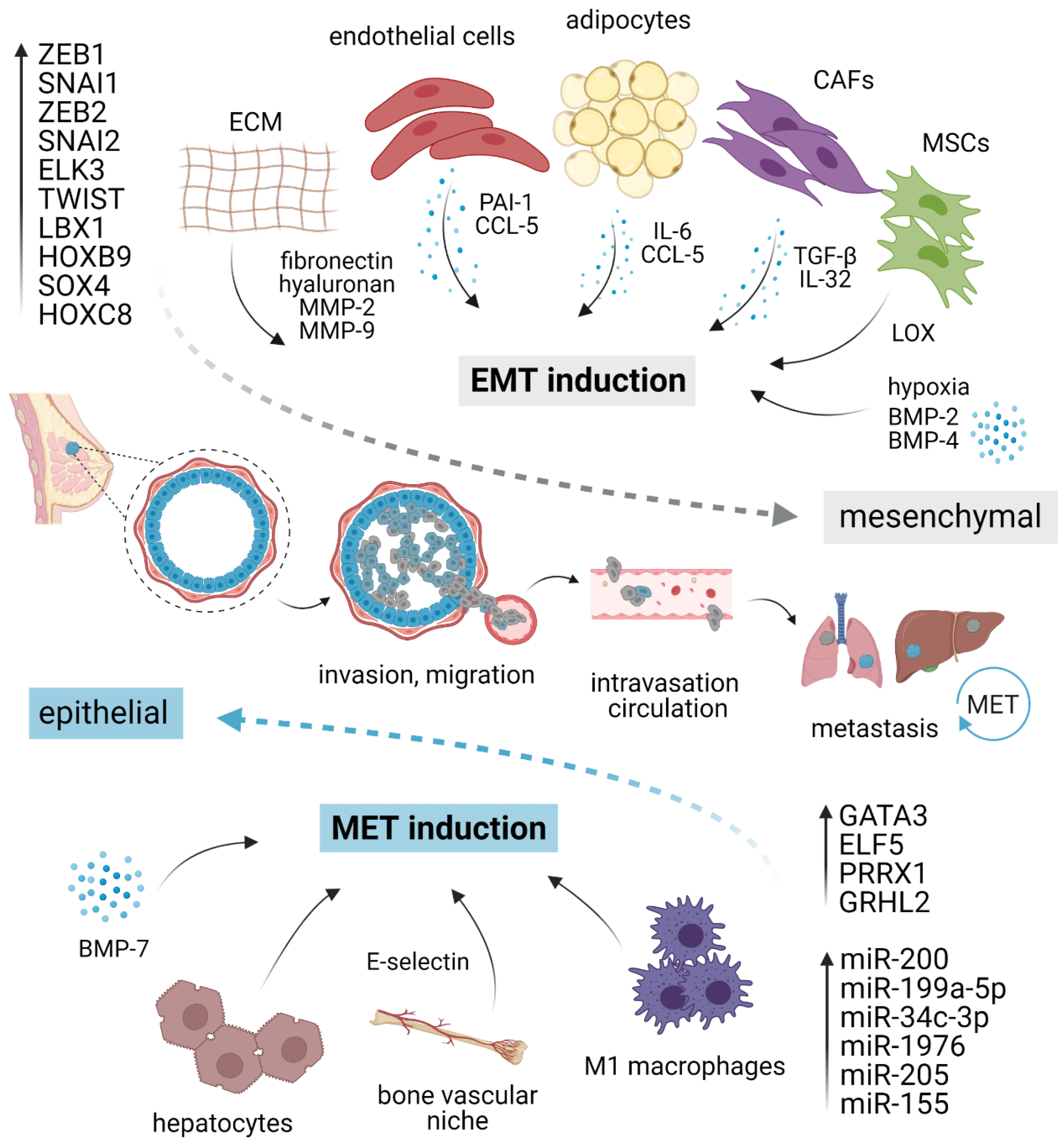 Cancers 13 02188 g001