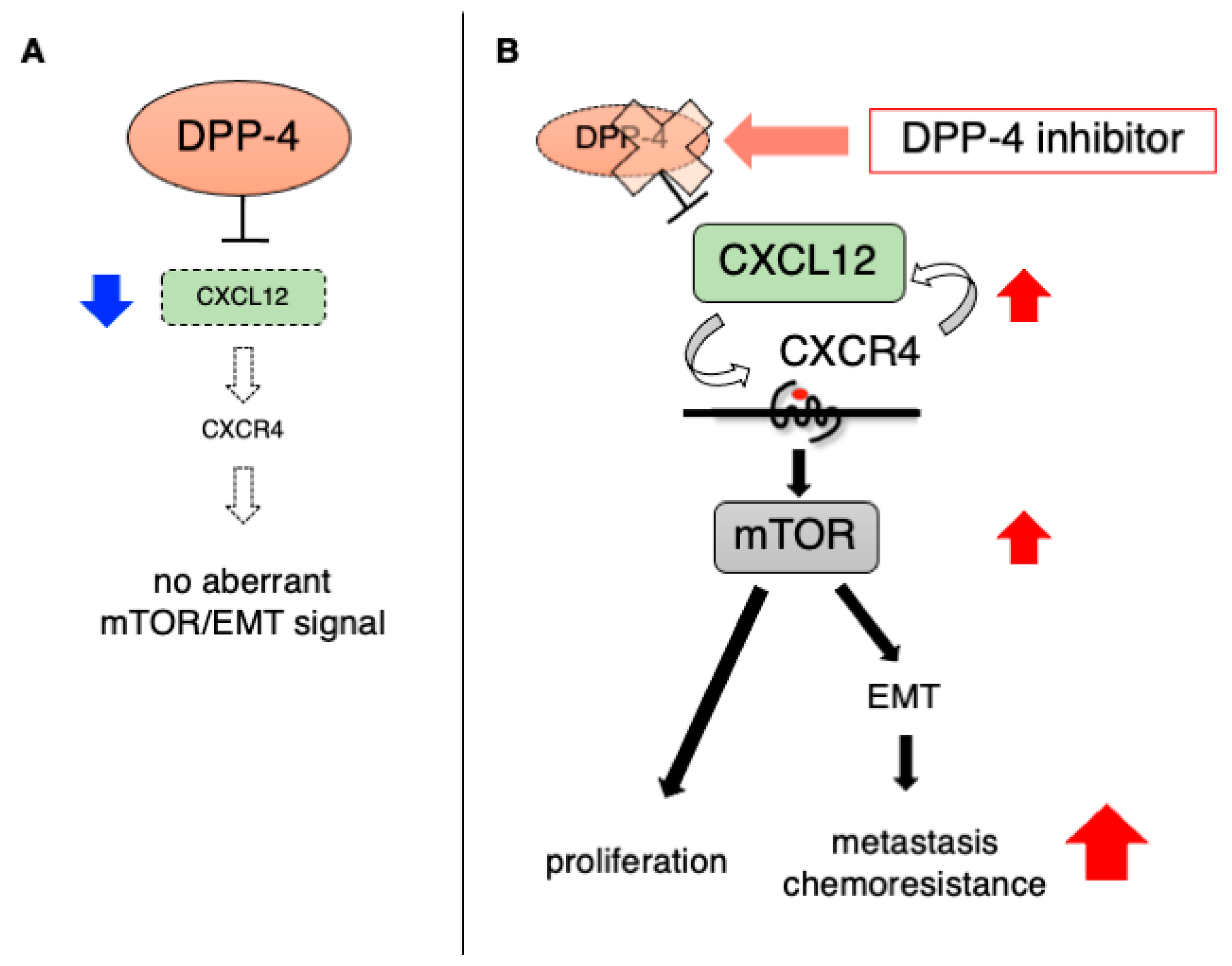 Cancers 13 02191 g001