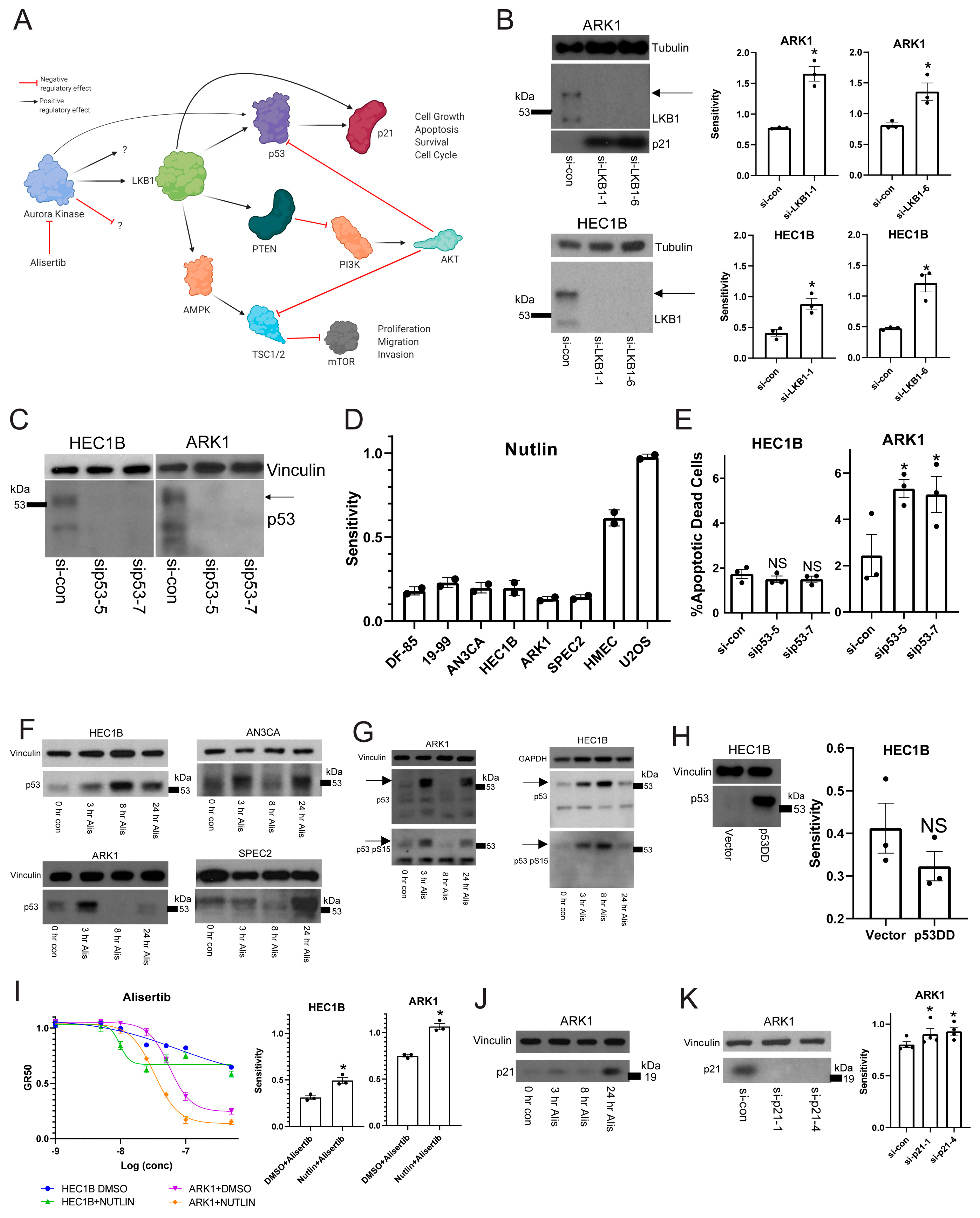 Cancers 13 02195 g003