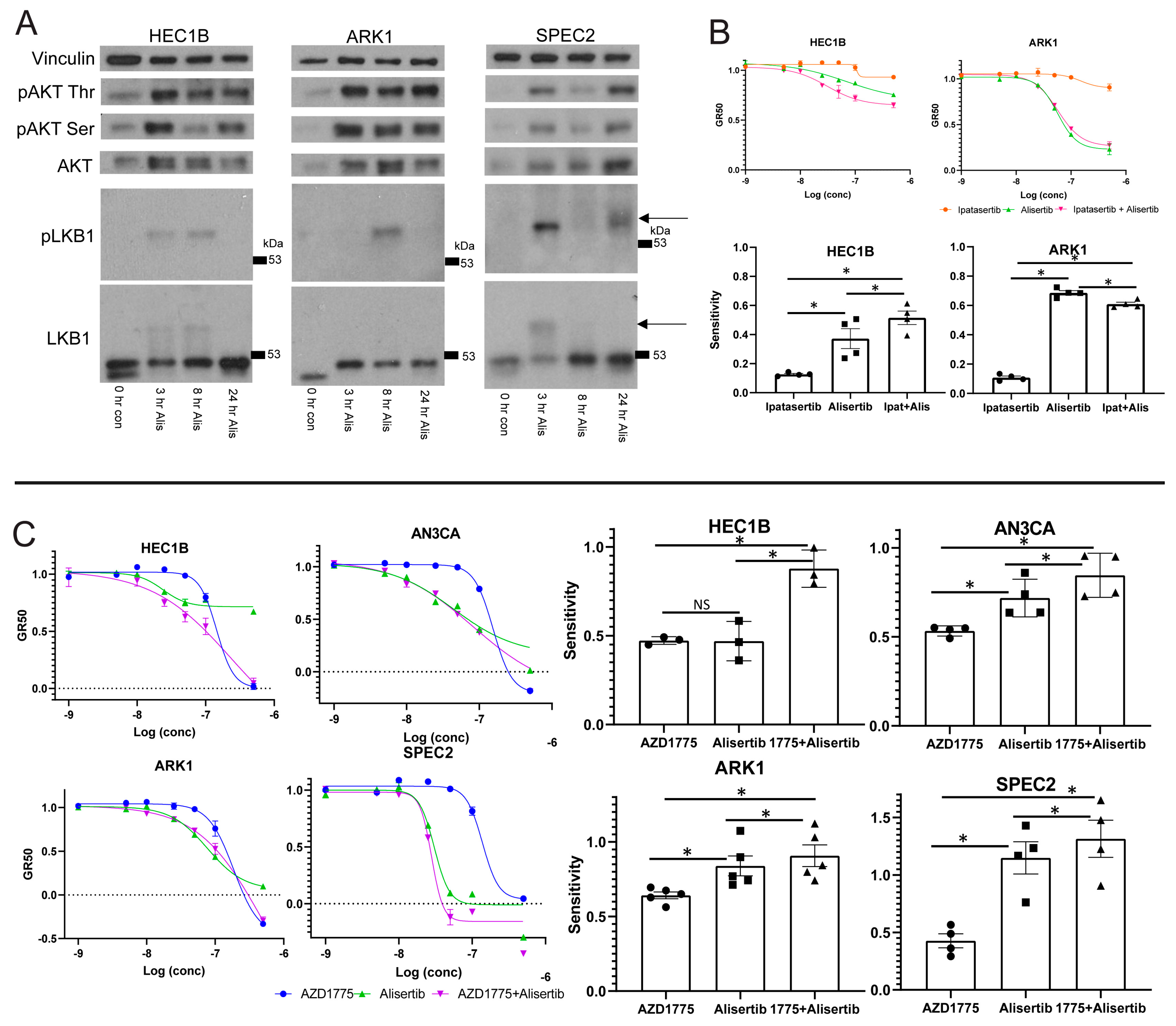 Cancers 13 02195 g004