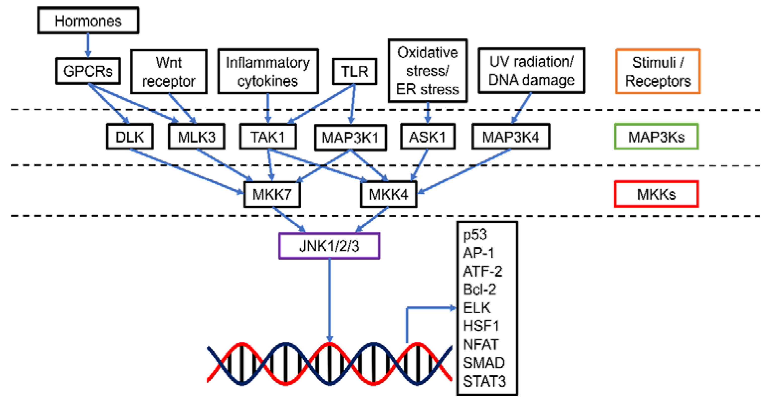 Cancers 13 02196 g001