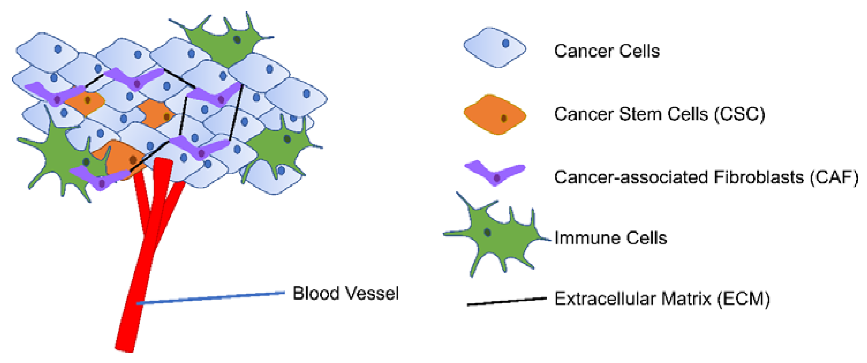 Cancers 13 02196 g002