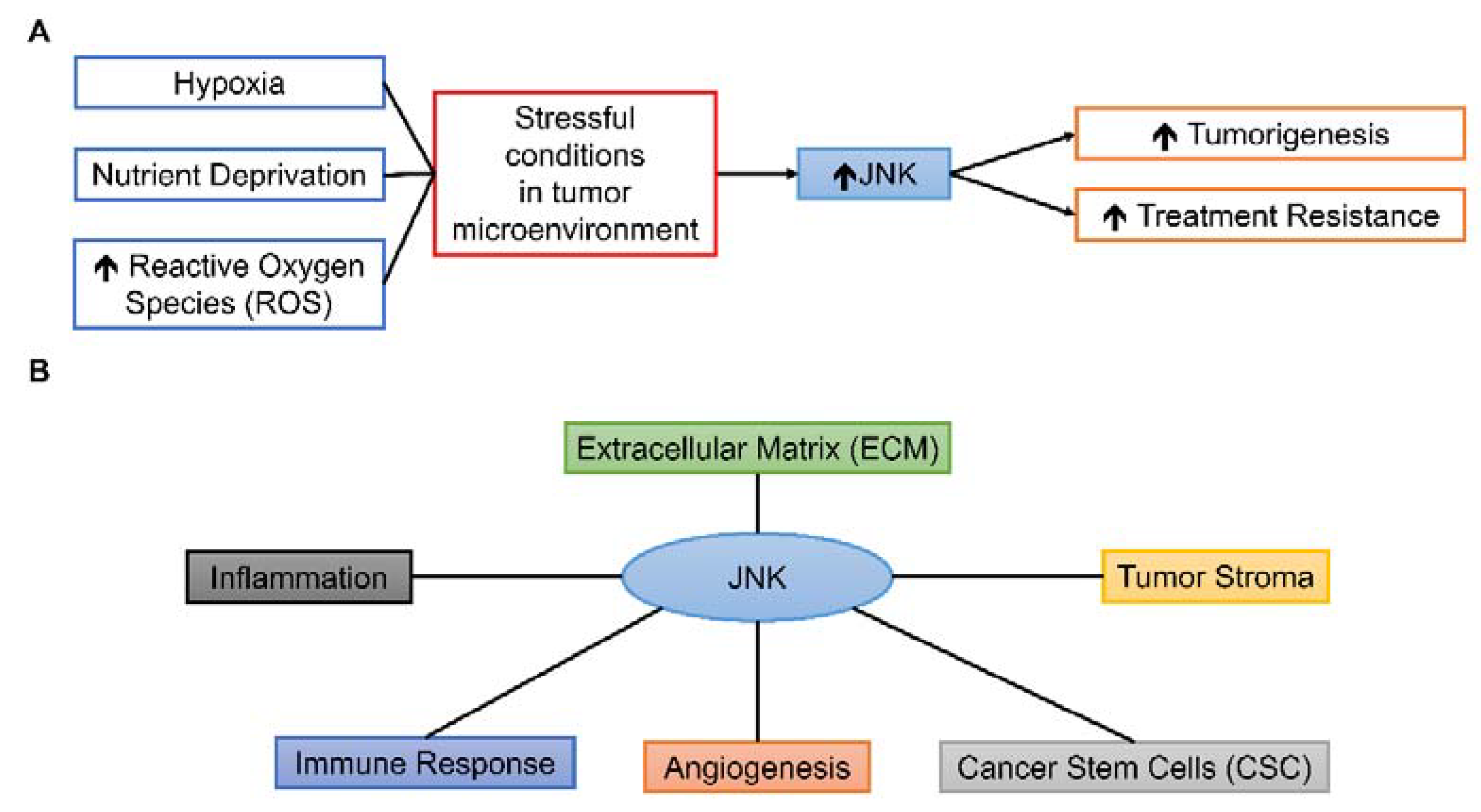 Cancers 13 02196 g003