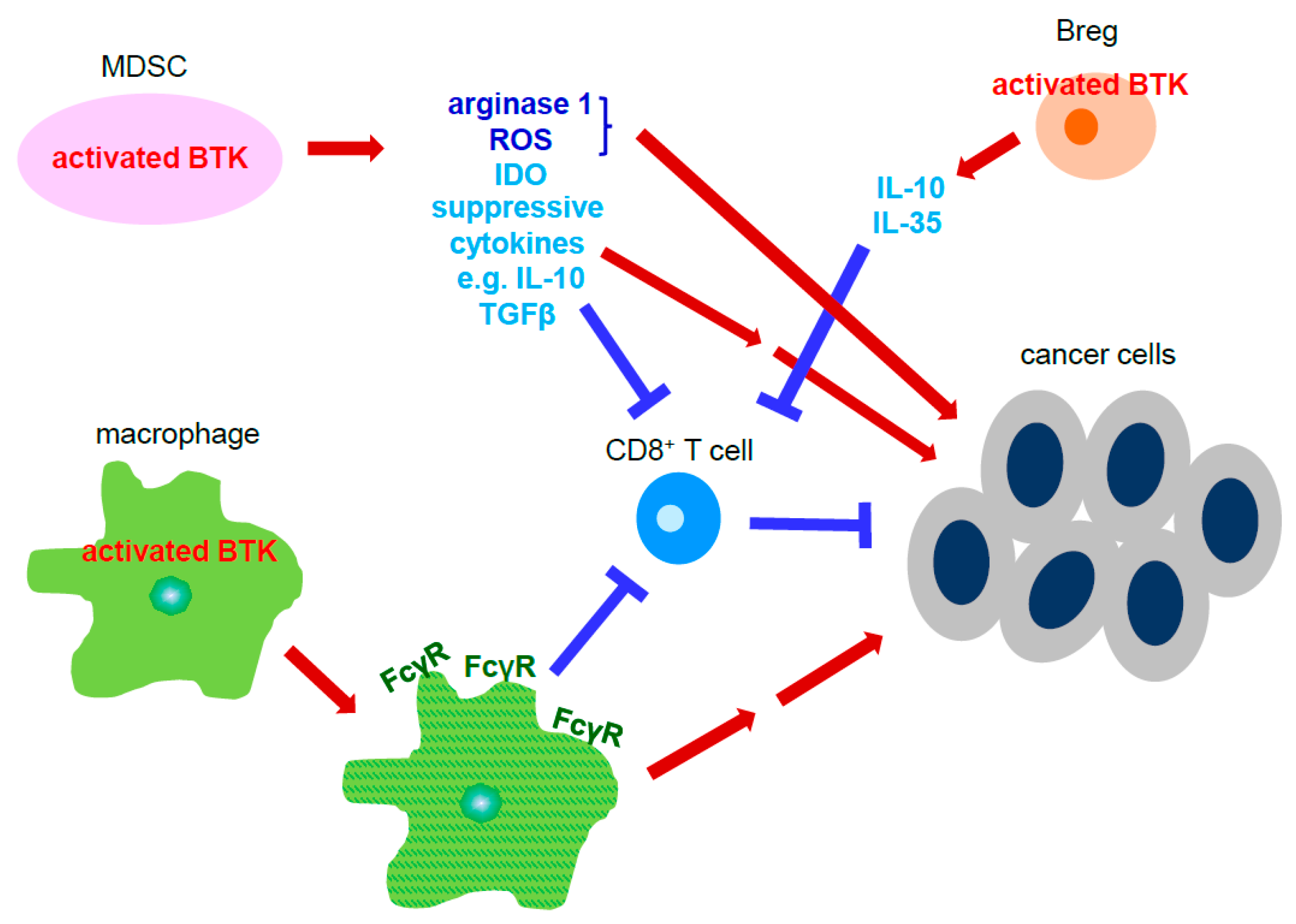 Cancers 13 02198 g003
