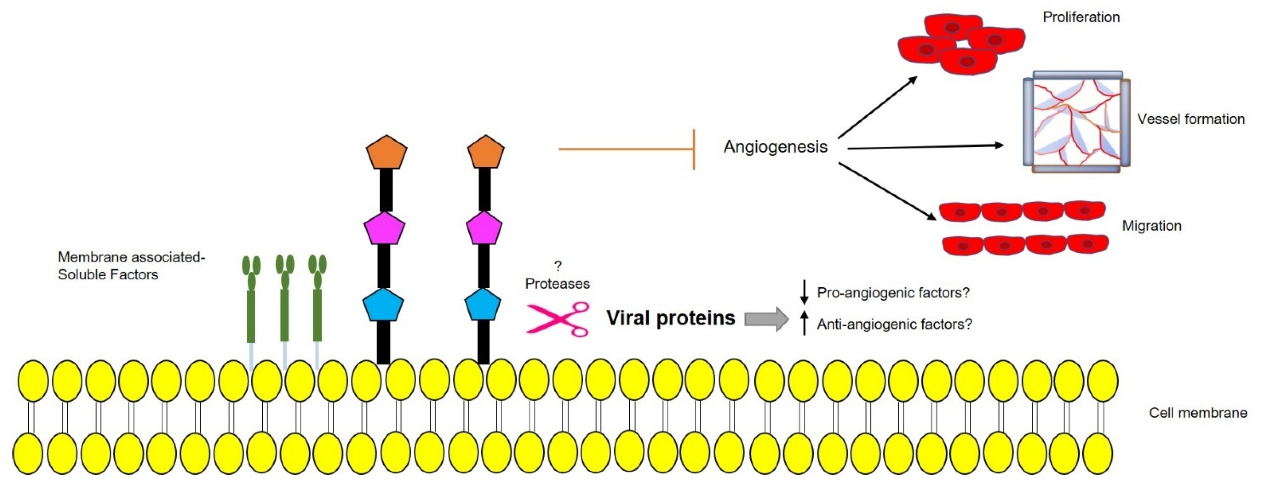 Cancers 13 02199 g004