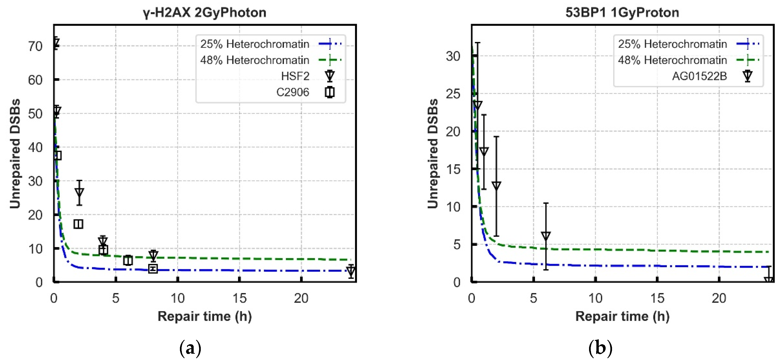Cancers 13 02202 g006
