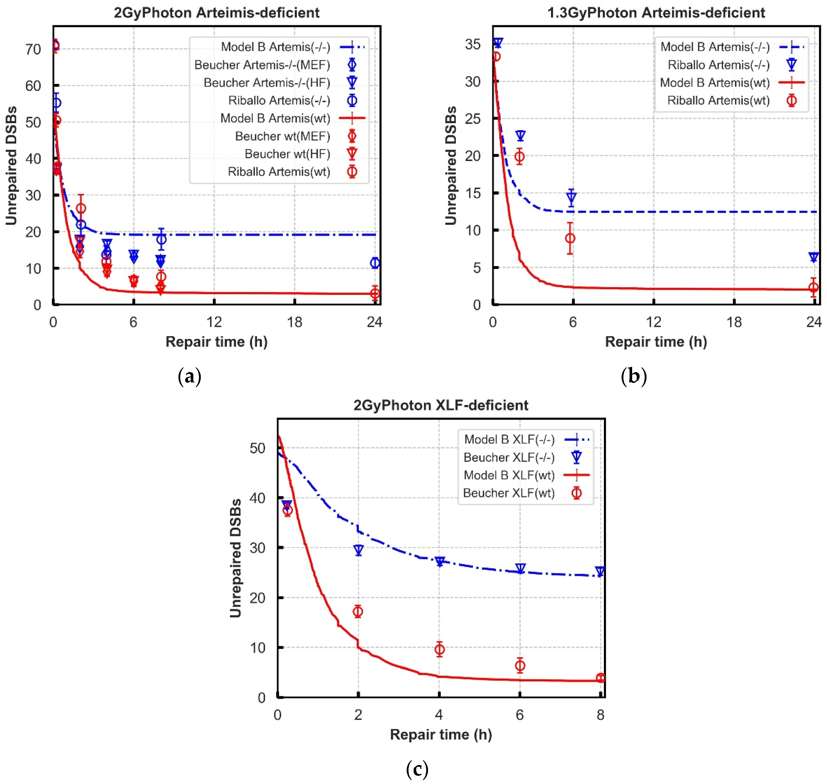 Cancers 13 02202 g007
