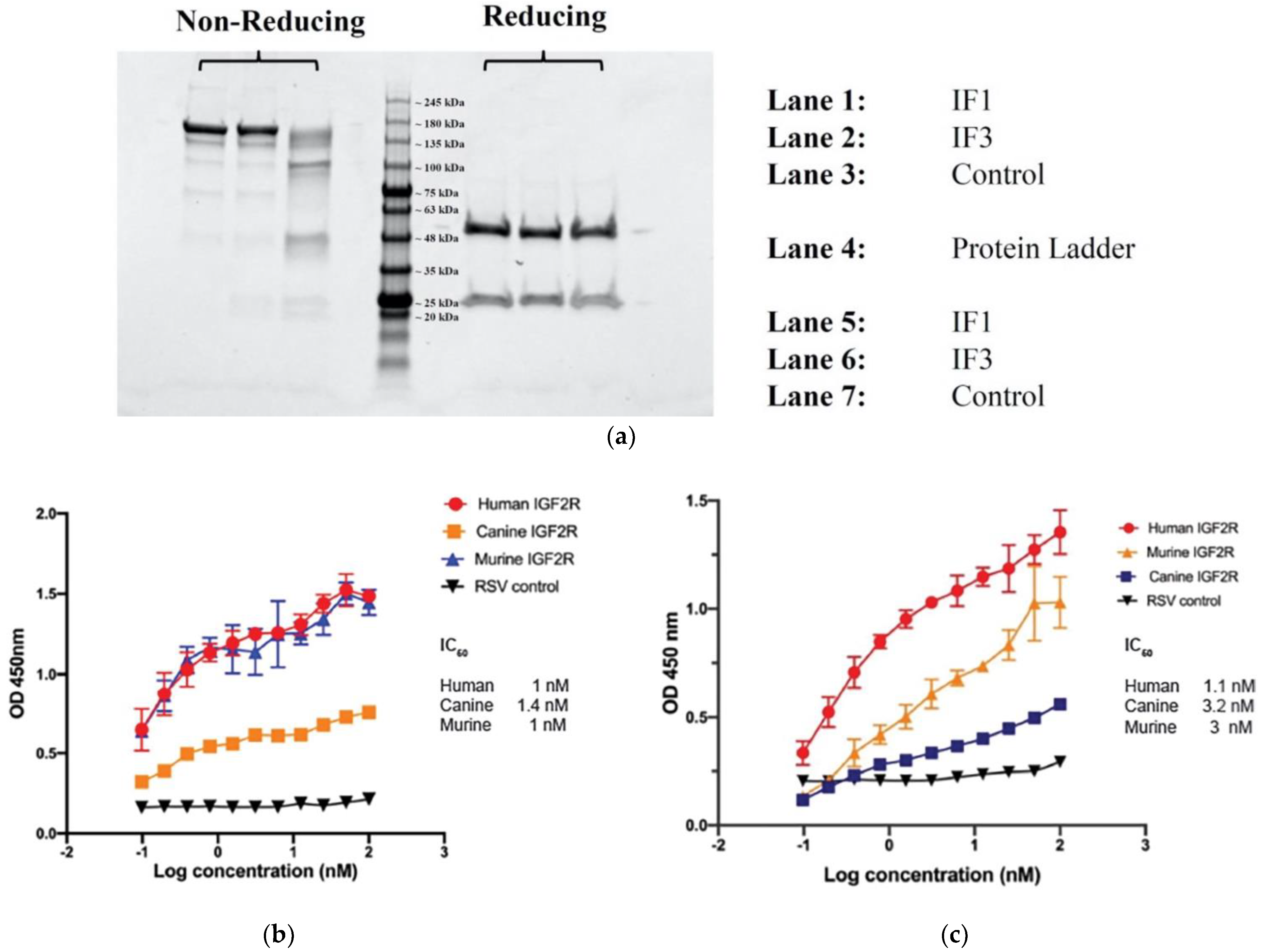 Cancers 13 02208 g004