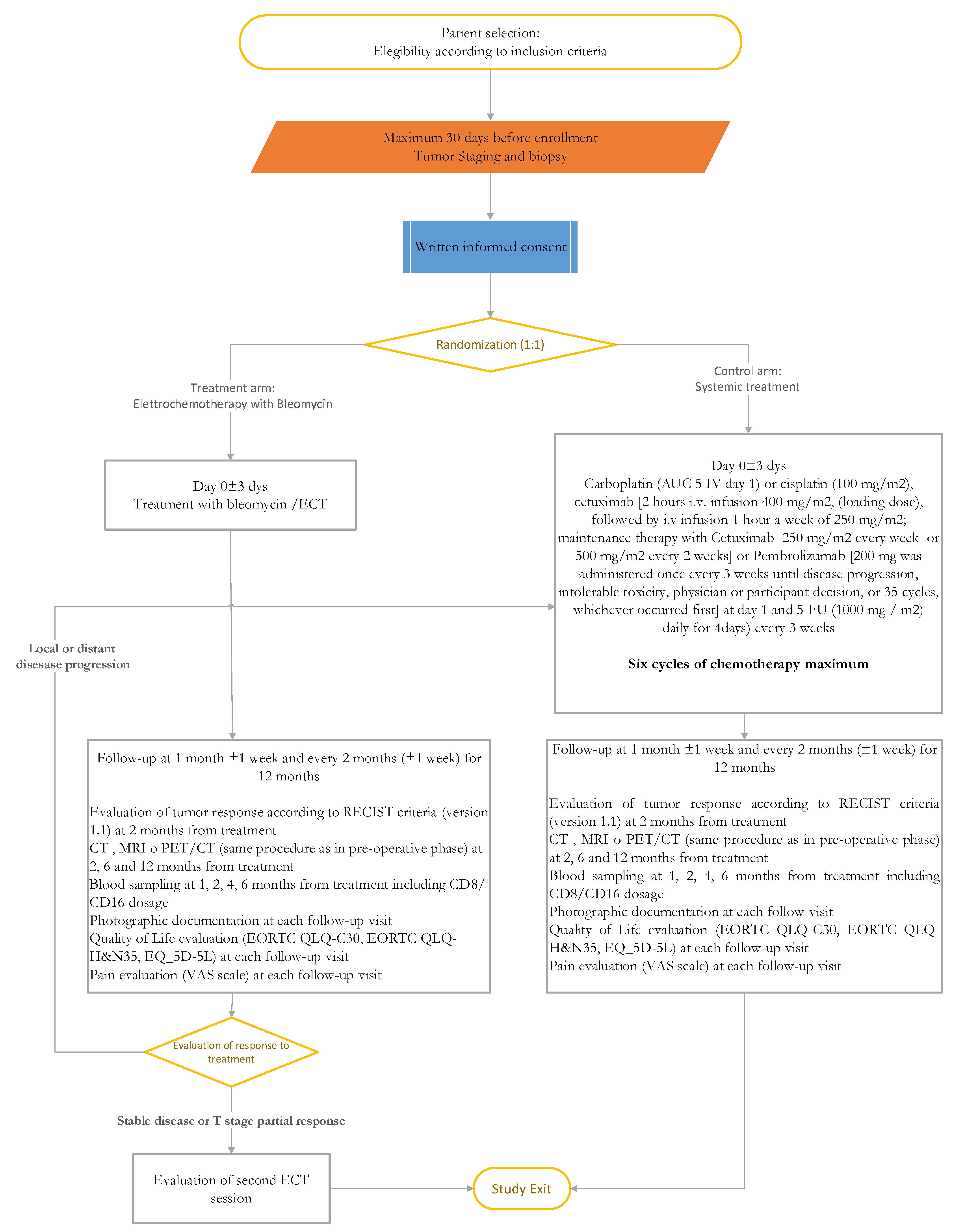 Cancers 13 02210 g001