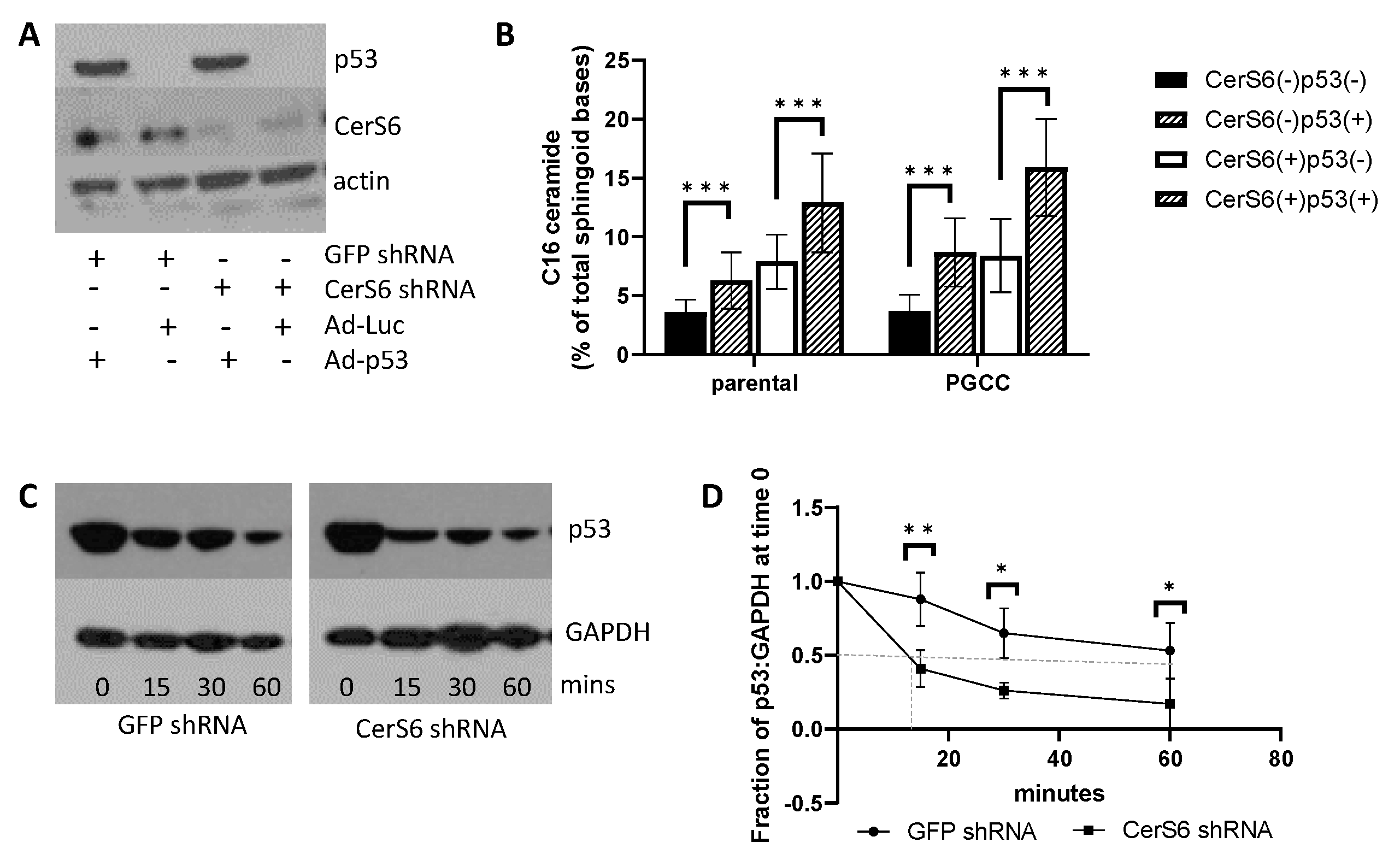 Cancers 13 02212 g003