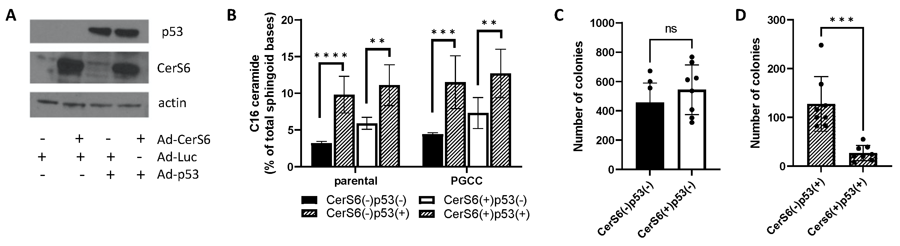 Cancers 13 02212 g005