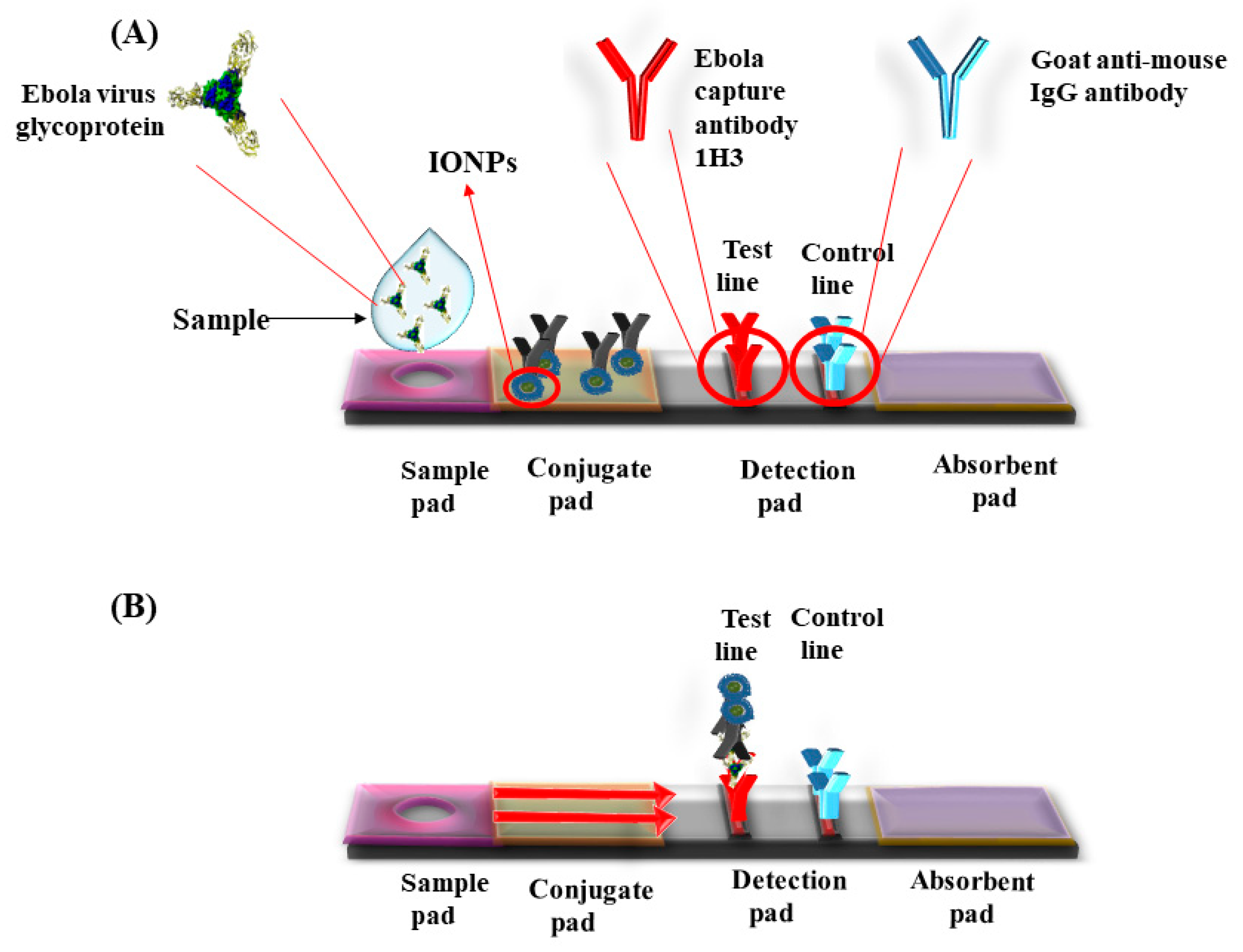 Cancers 13 02213 g002