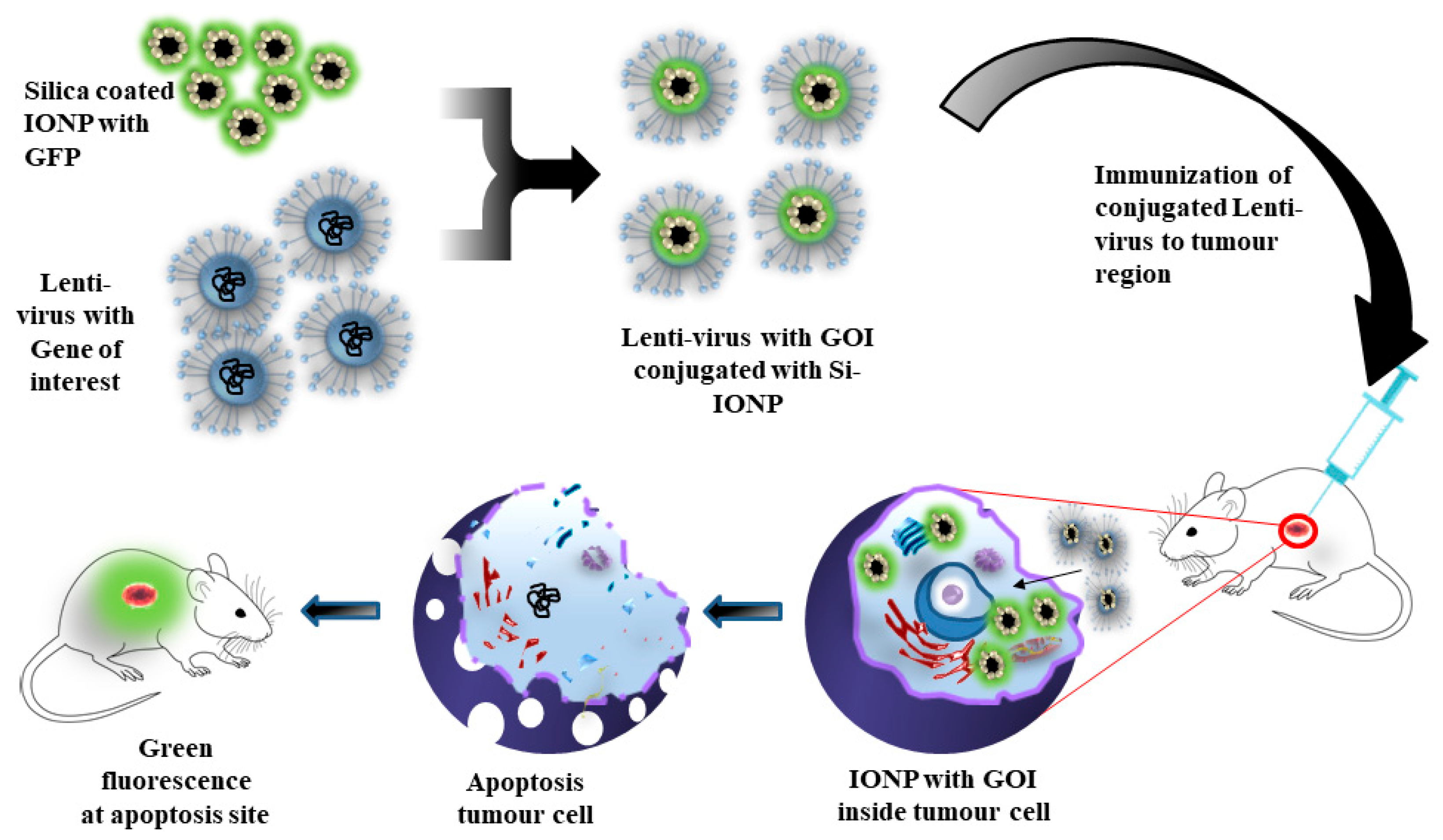 Cancers 13 02213 g003