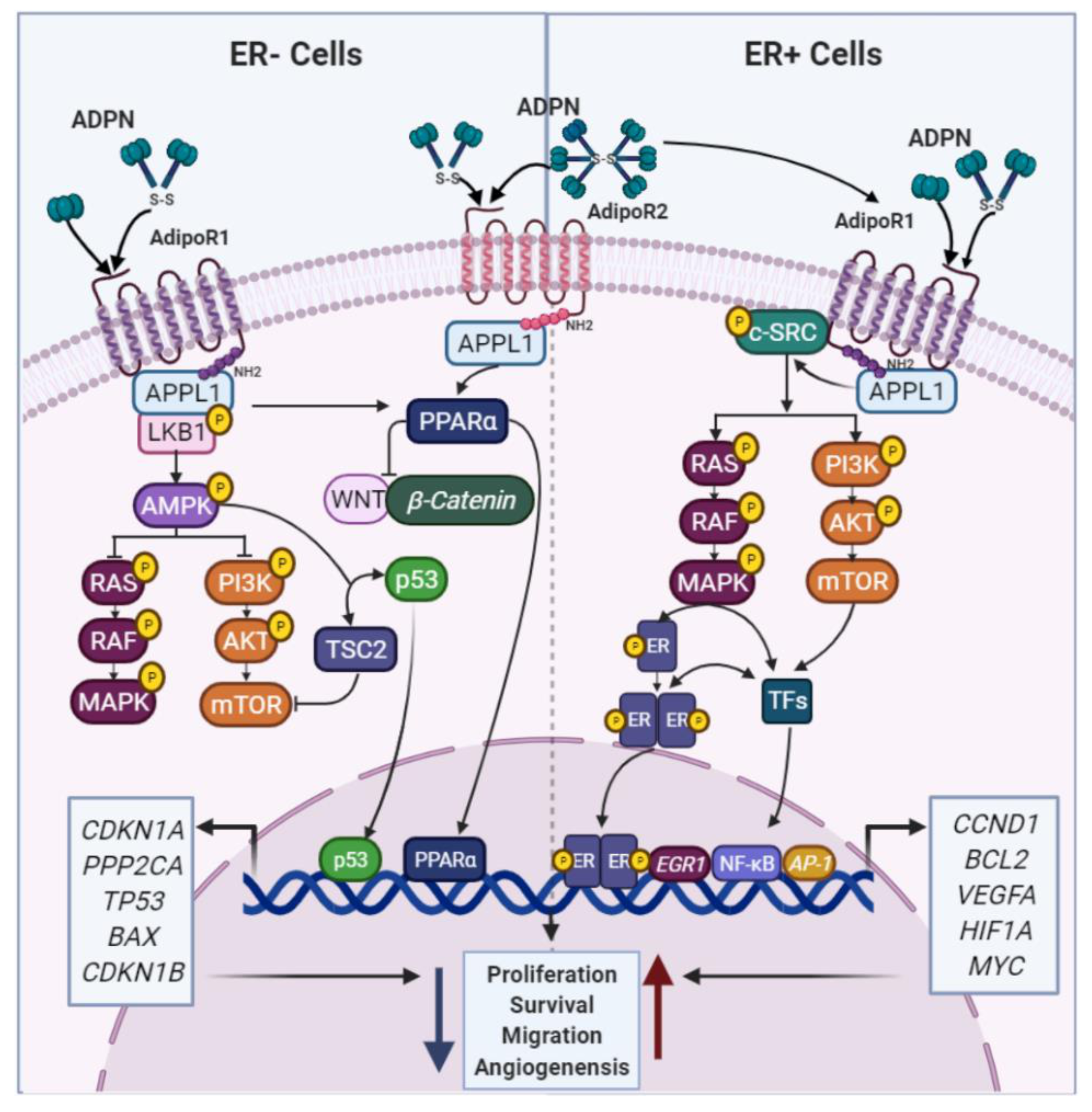 Cancers 13 02218 g002