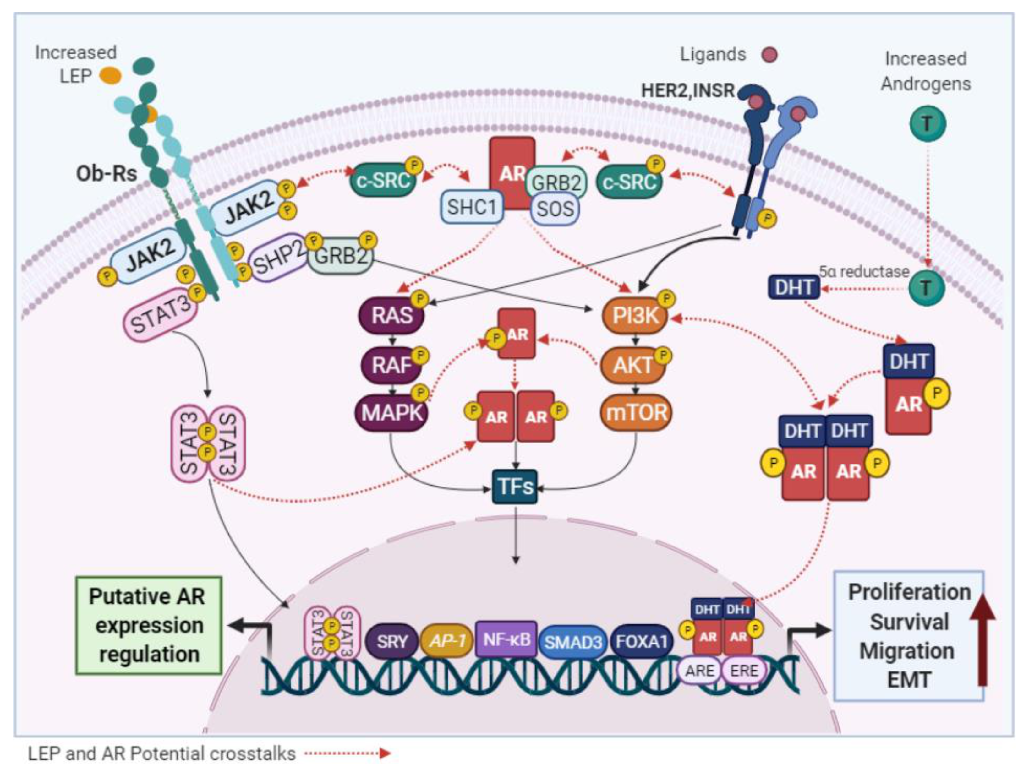 Cancers 13 02218 g006