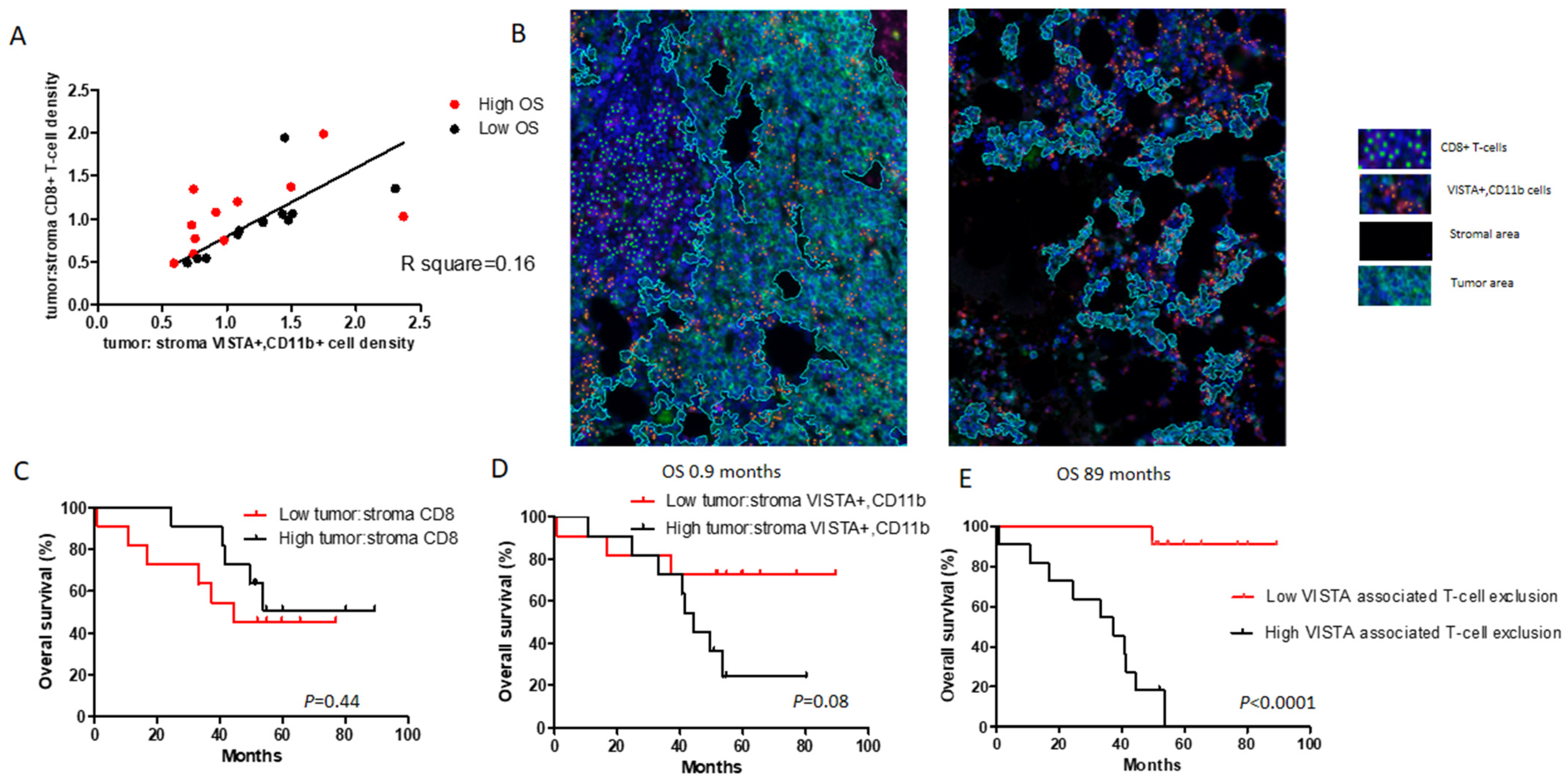 Cancers 13 02219 g006
