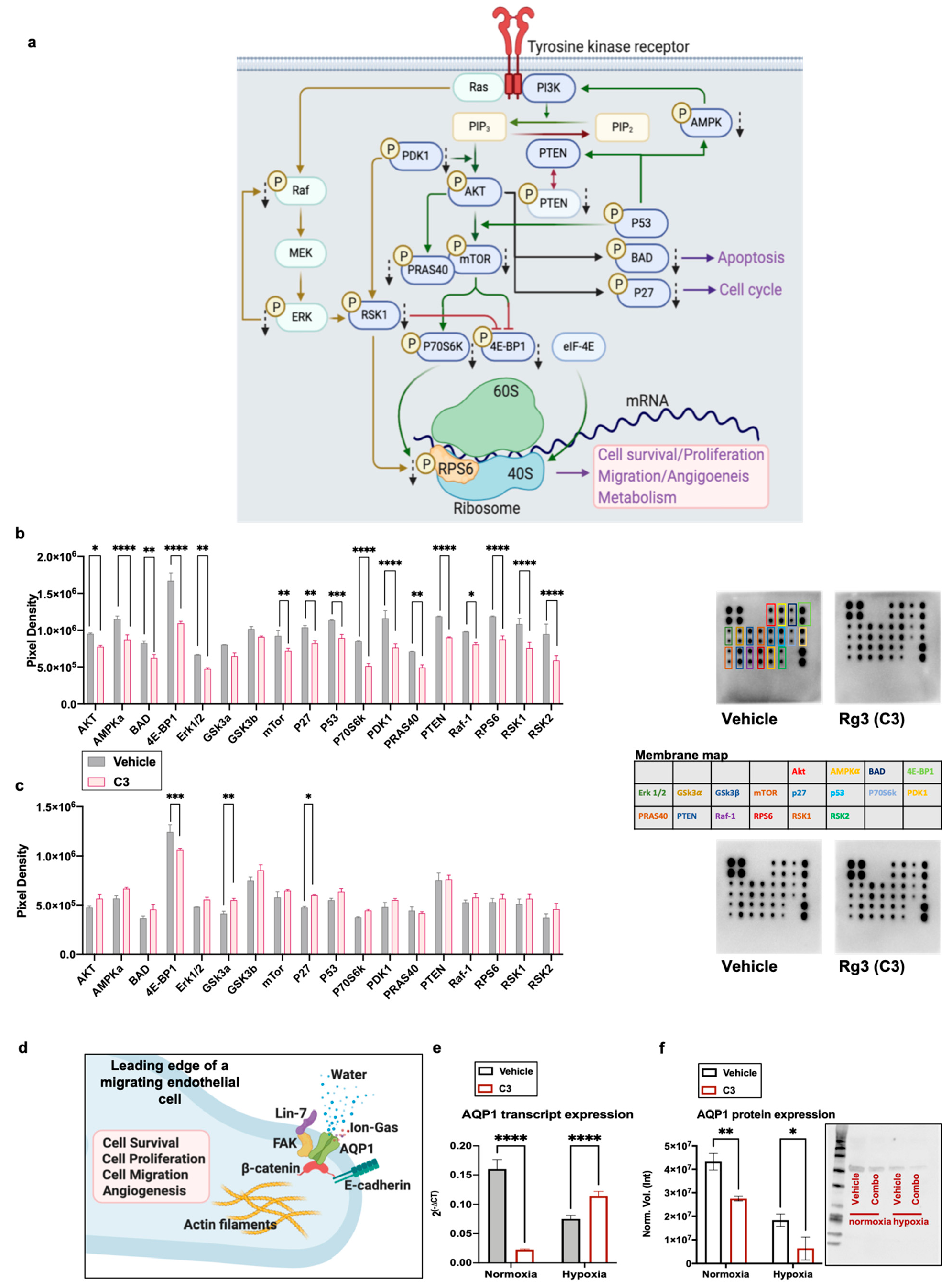 Cancers 13 02223 g005
