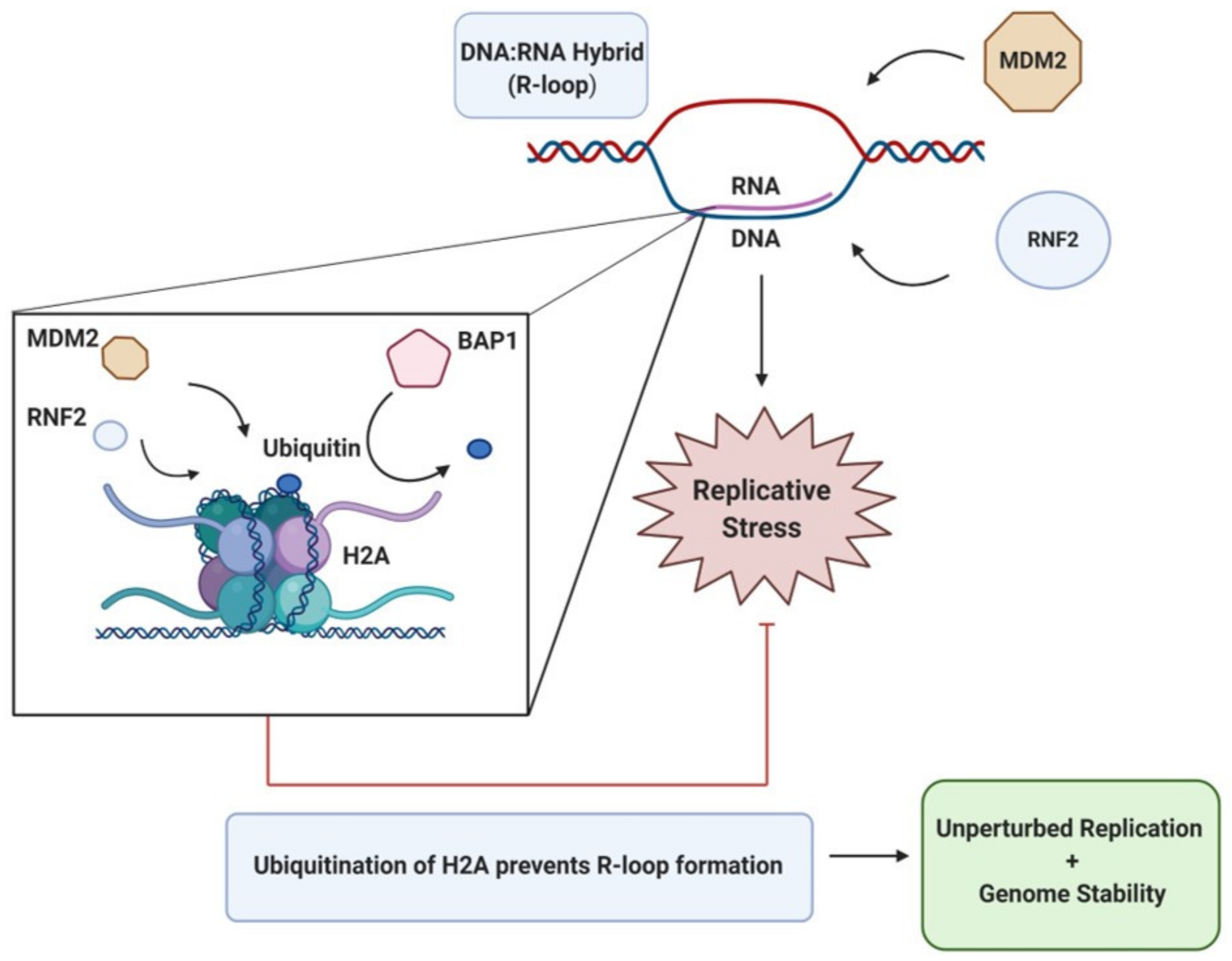 Cancers 13 02235 g003