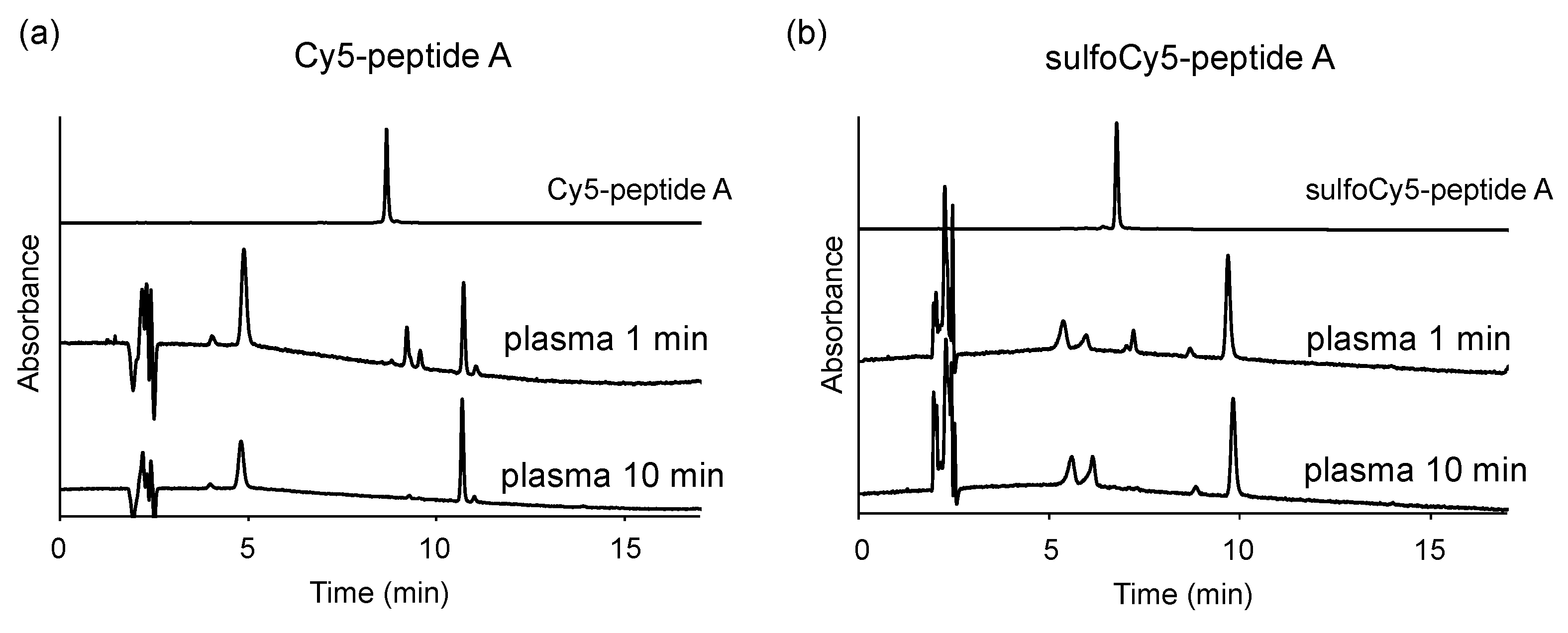 Cancers 13 02245 g008