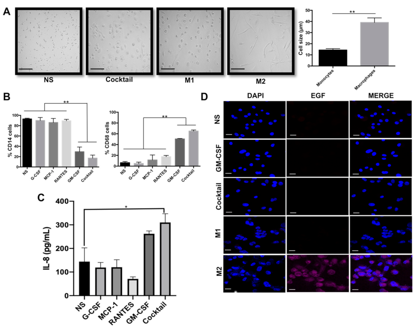 Cancers 13 02248 g001