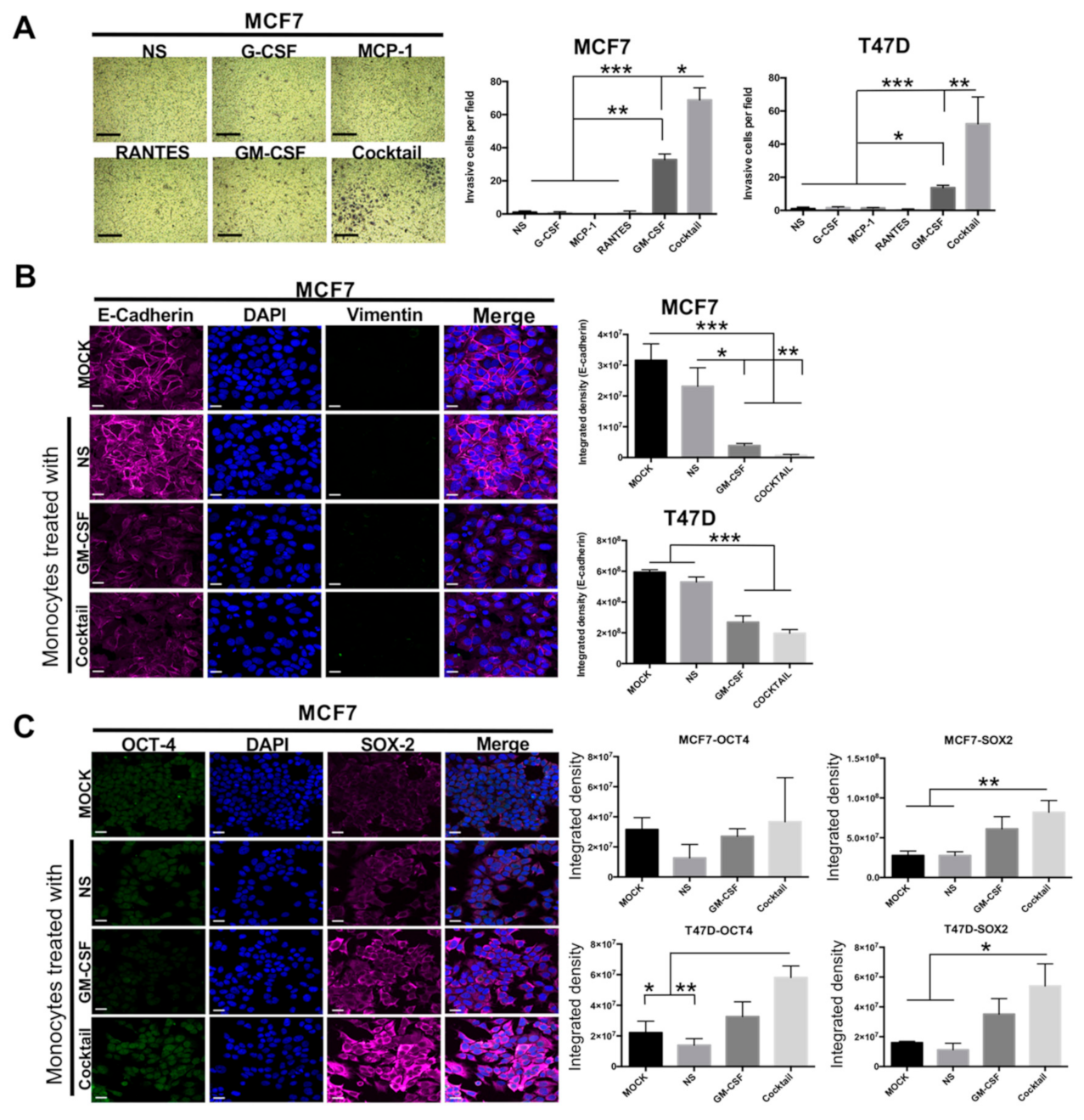 Cancers 13 02248 g002