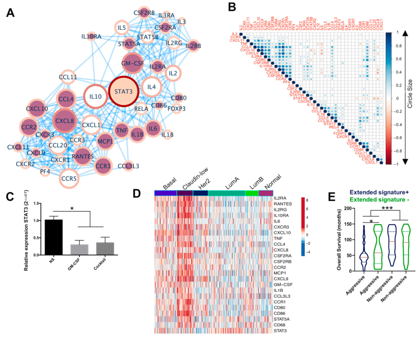 Cancers 13 02248 g004