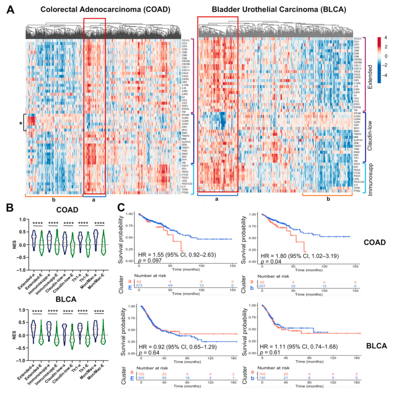 Cancers 13 02248 g006