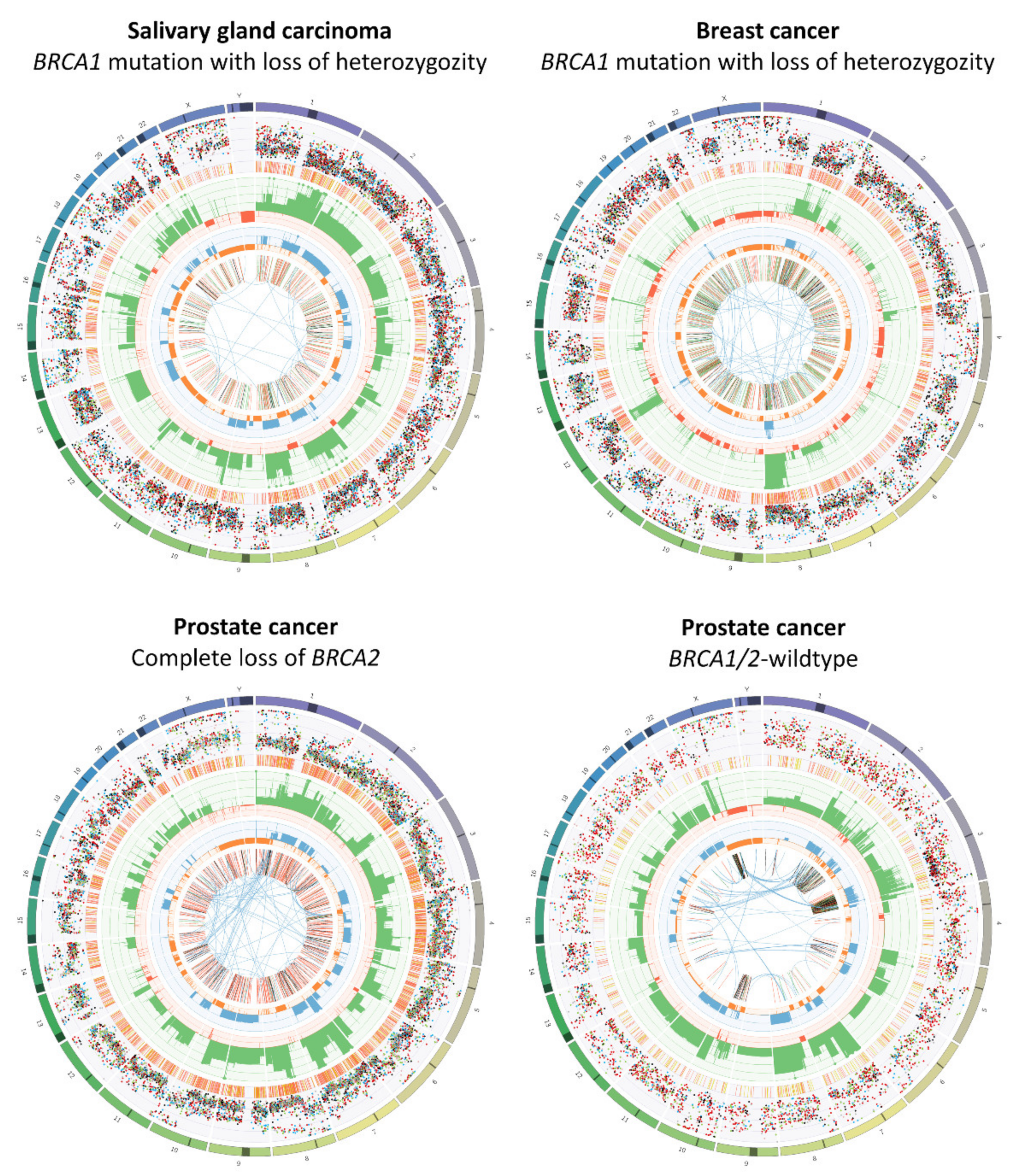 Cancers 13 02249 g002