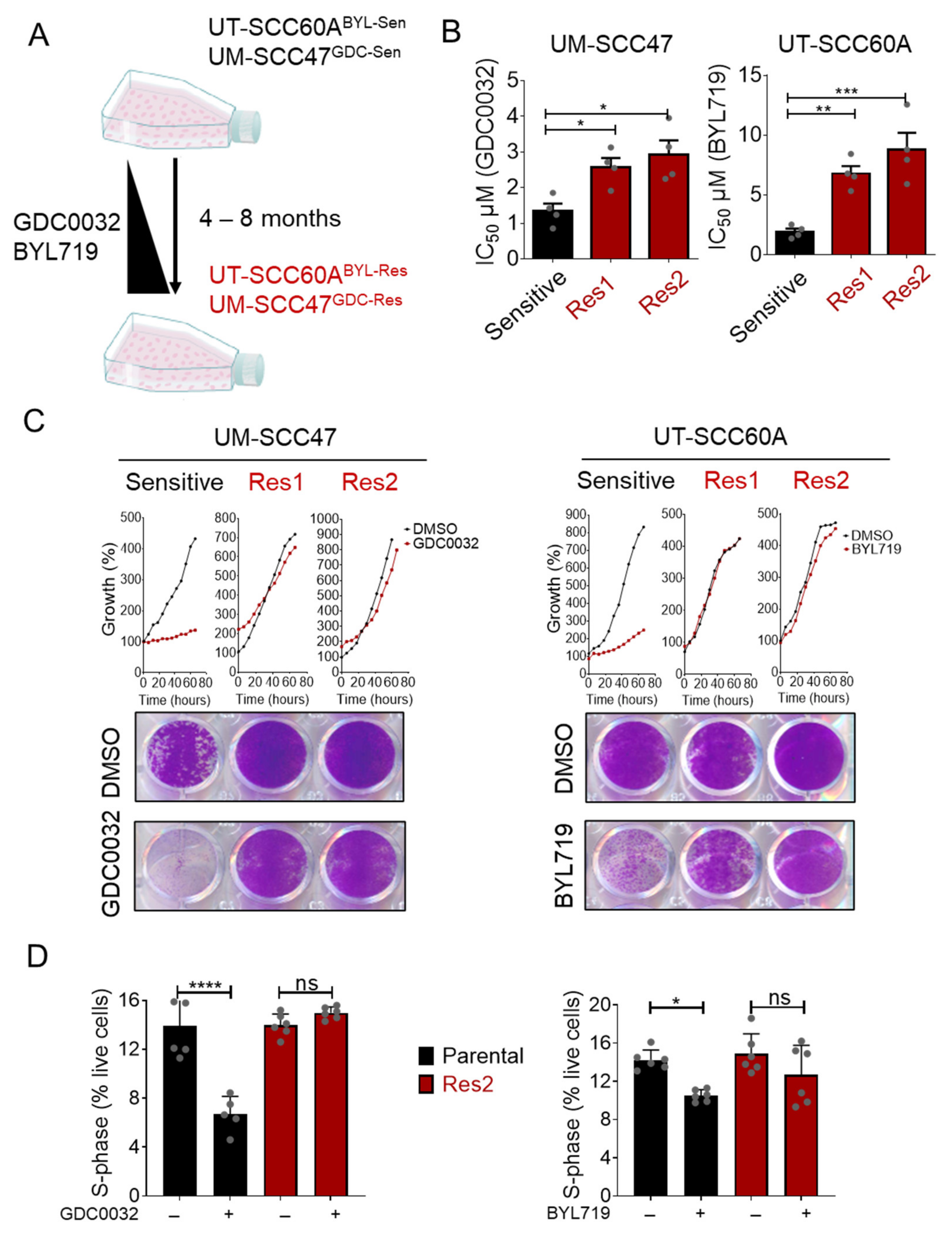 Cancers 13 02250 g001