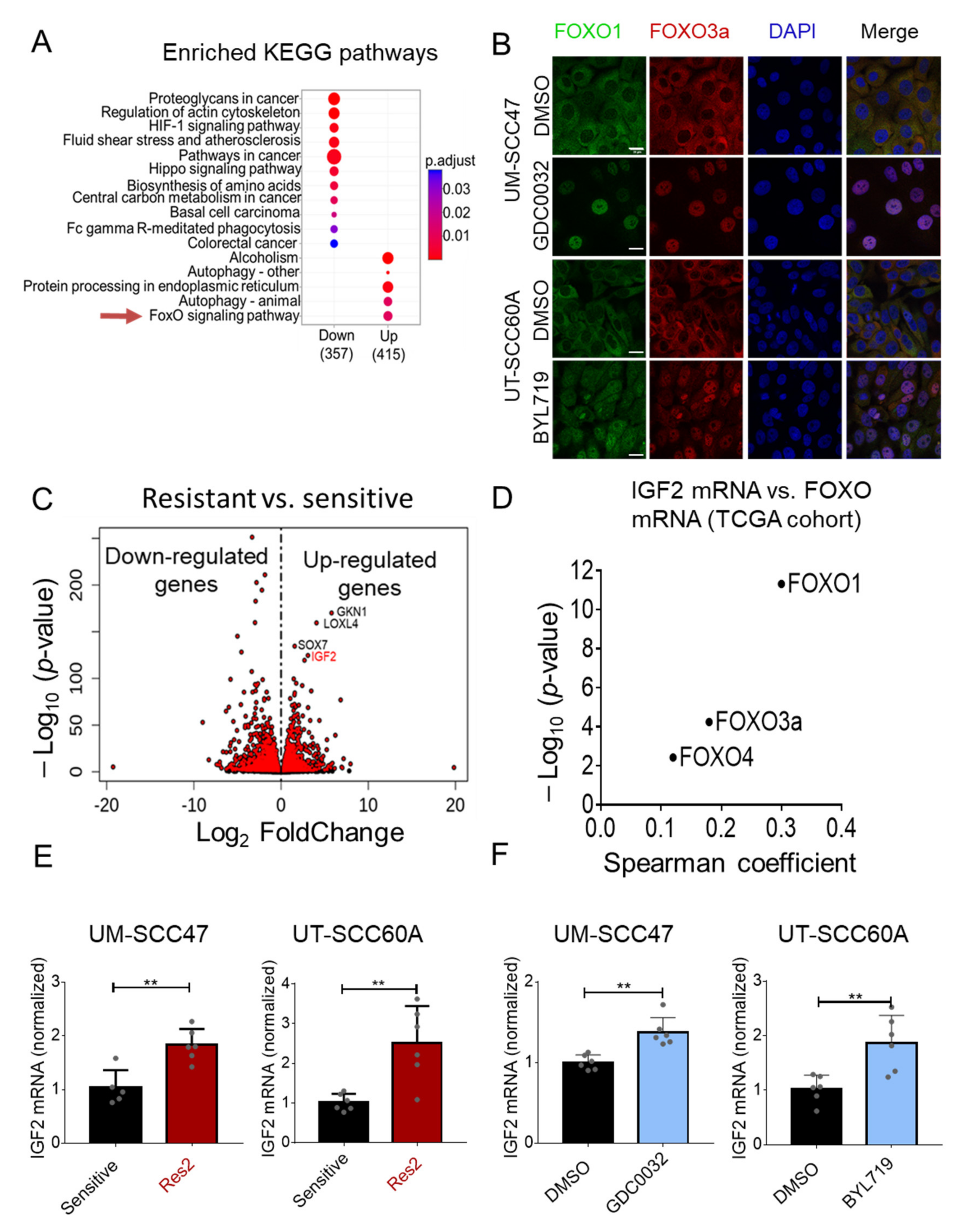 Cancers 13 02250 g002