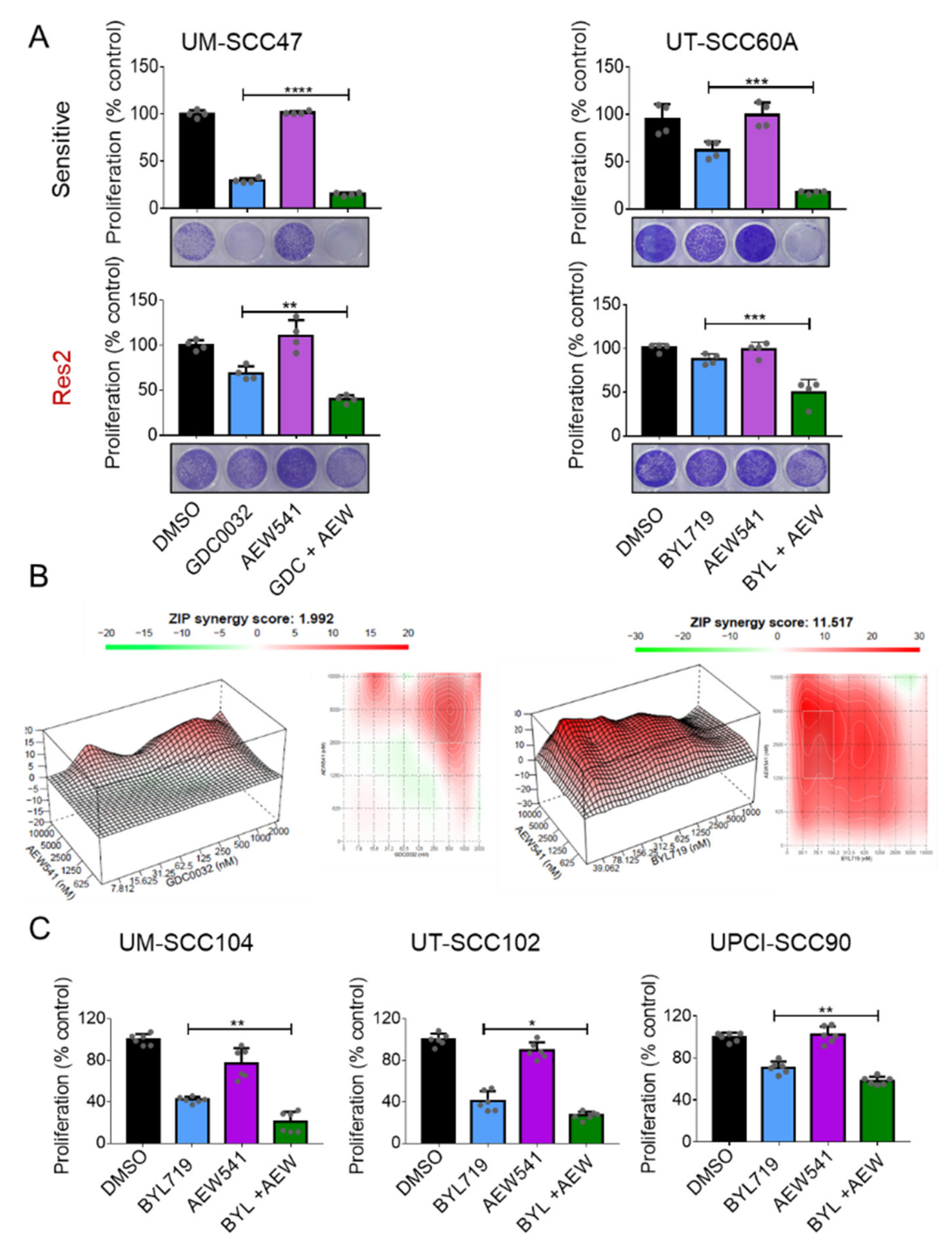 Cancers 13 02250 g004