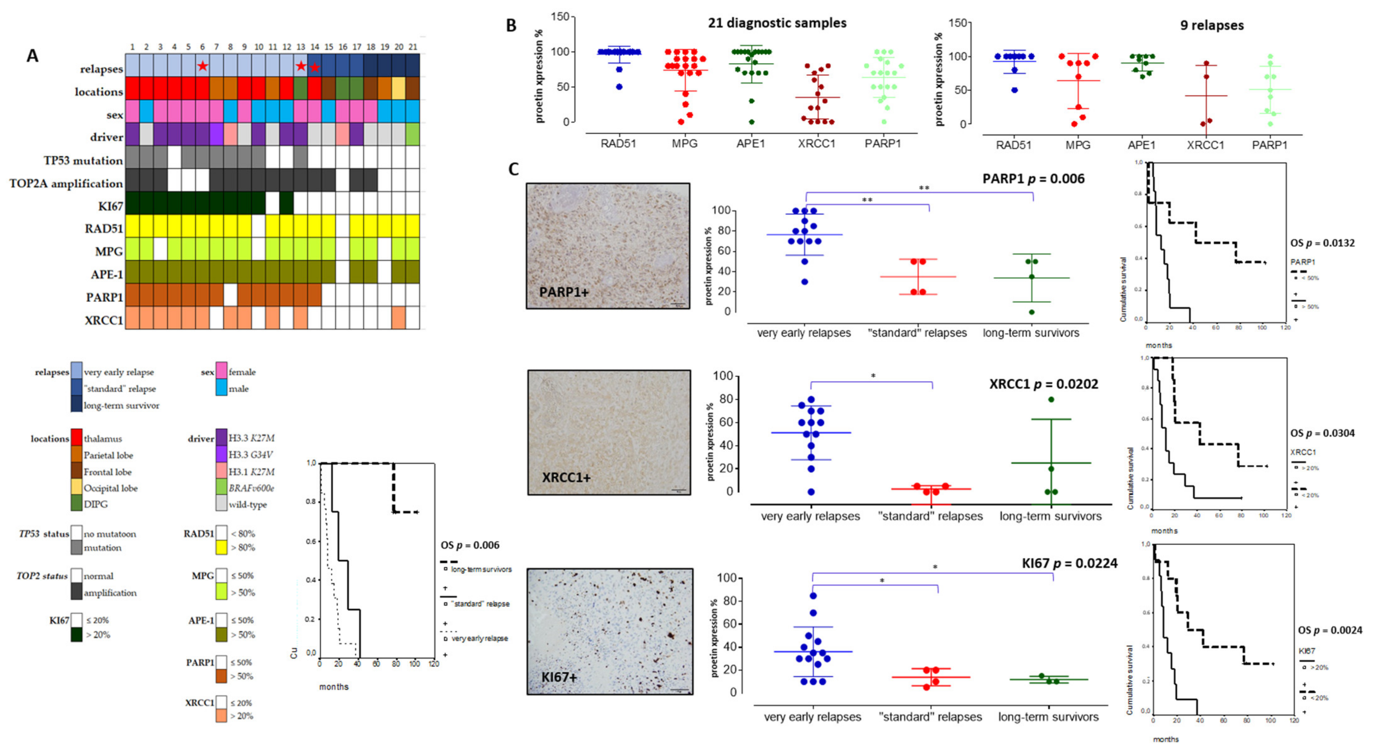 Cancers 13 02252 g004