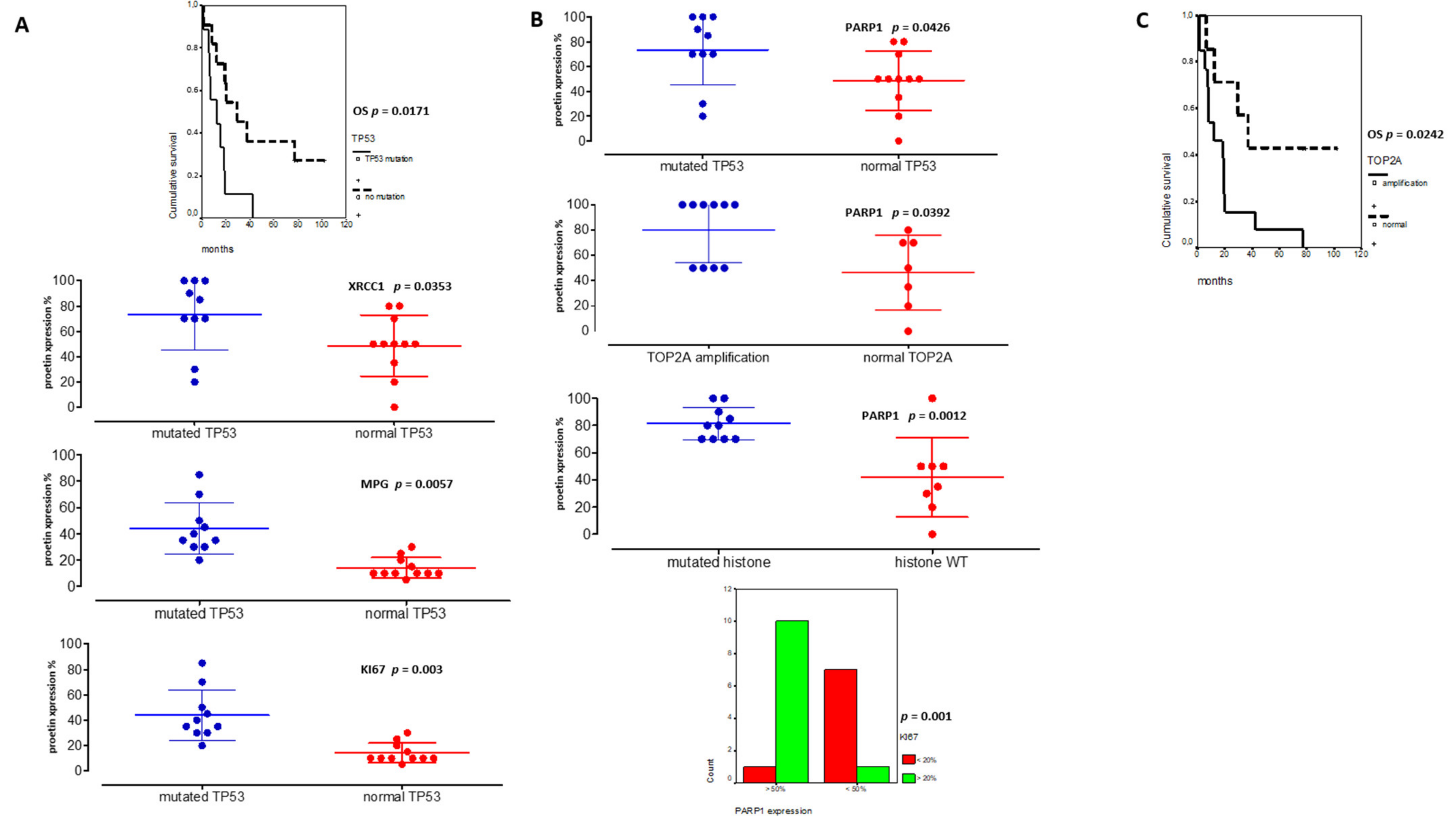 Cancers 13 02252 g005