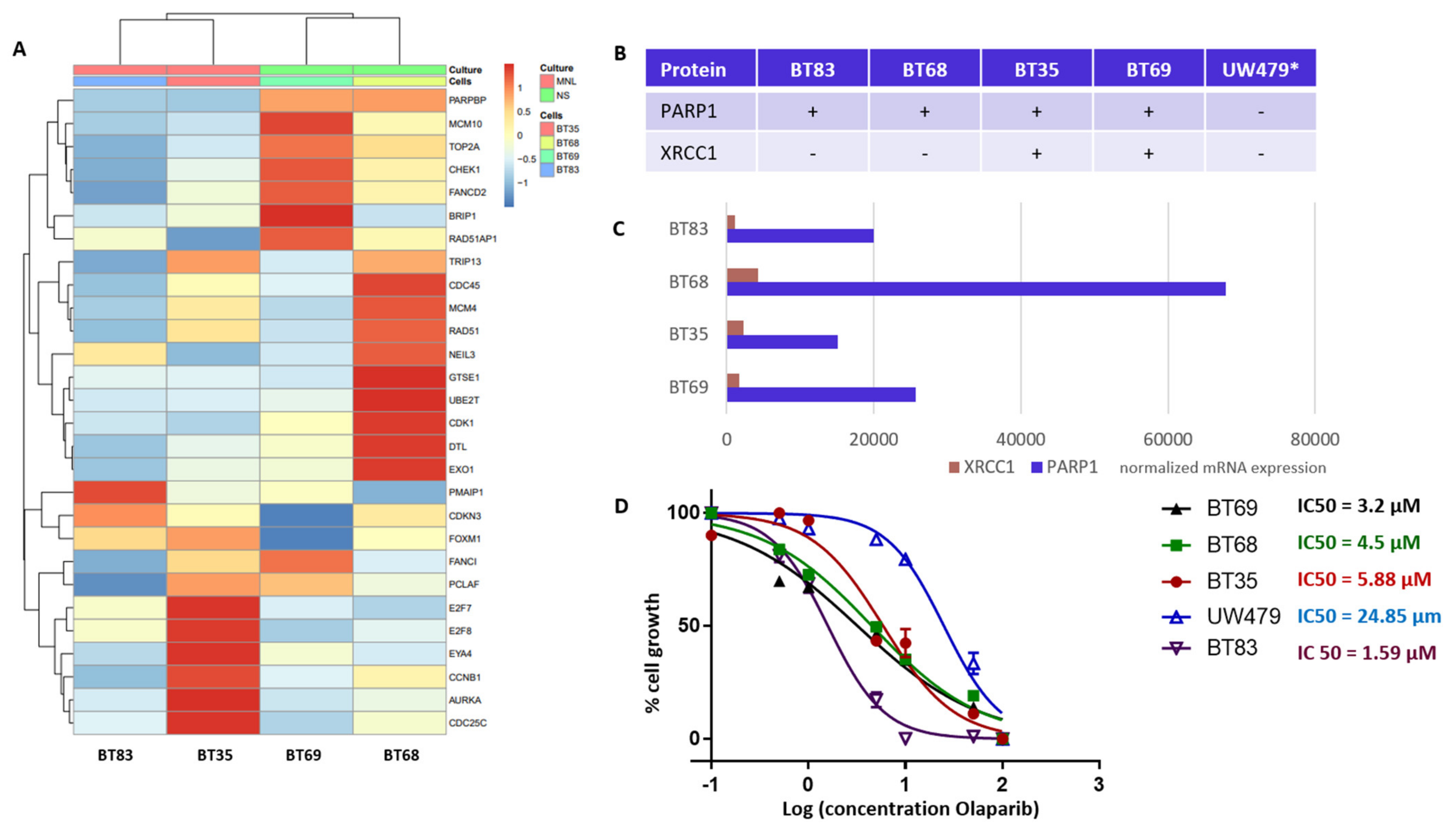 Cancers 13 02252 g006