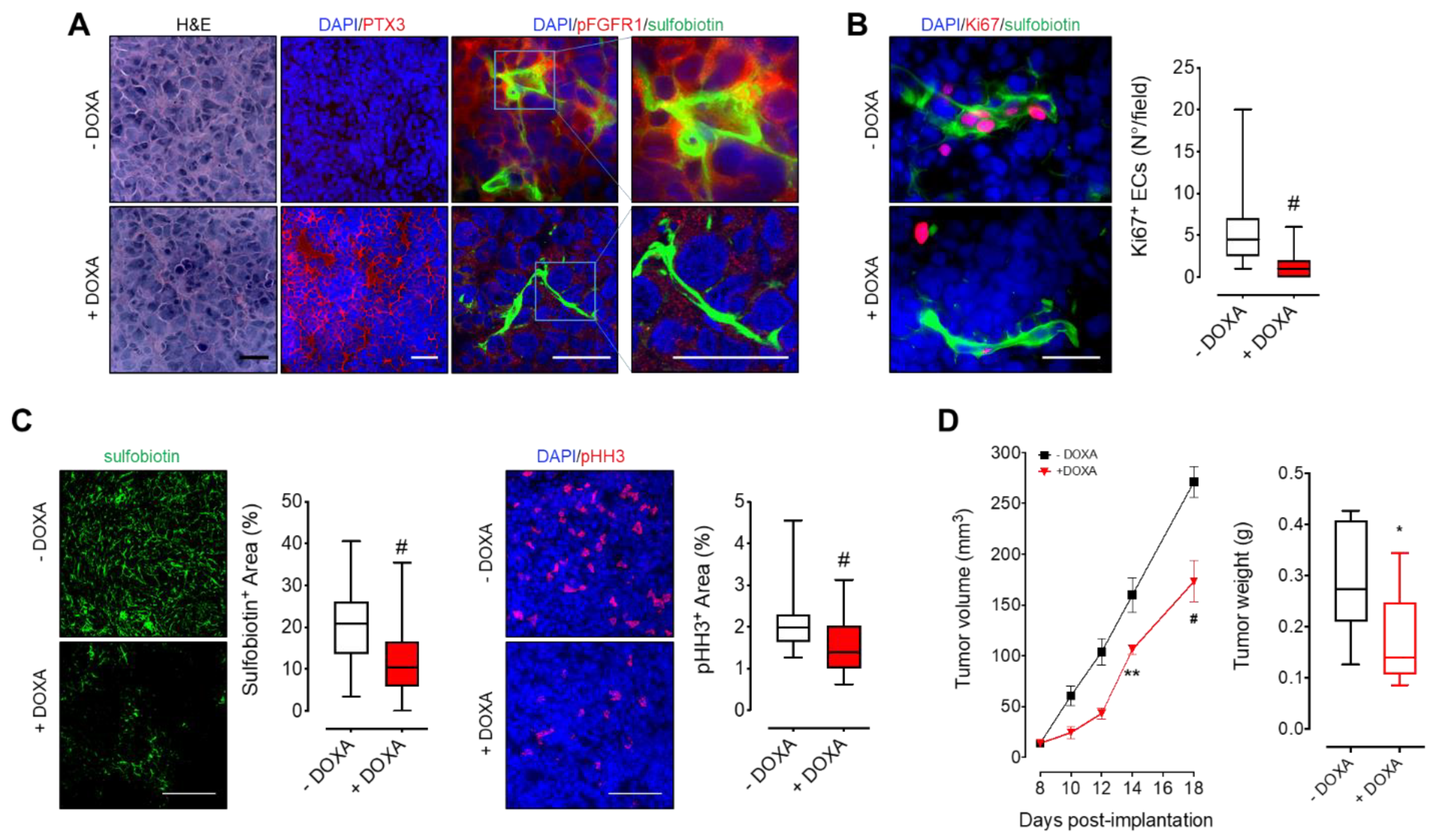 Cancers 13 02255 g003 Cancers 13 02255 g003