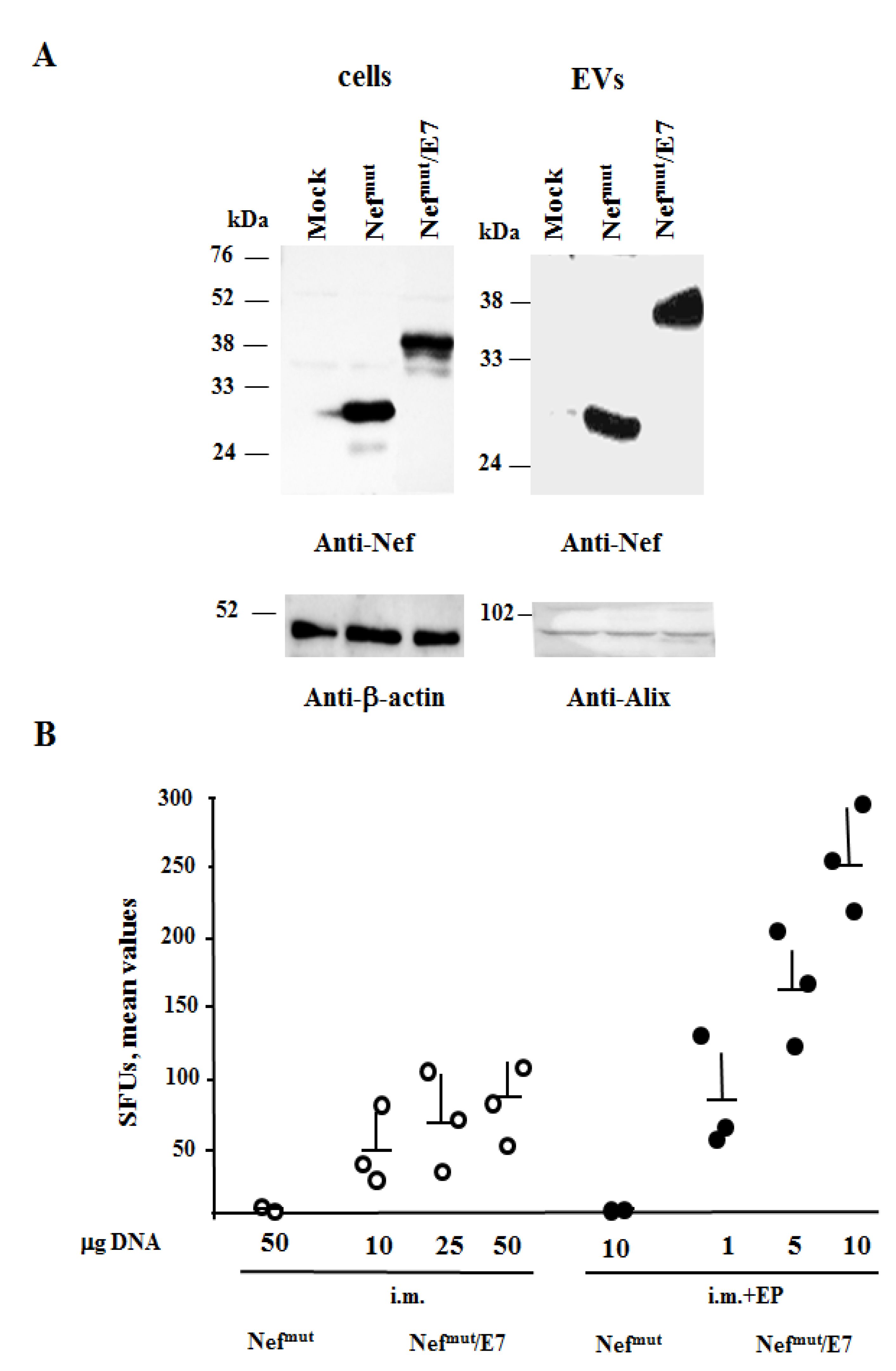 Cancers 13 02263 g001