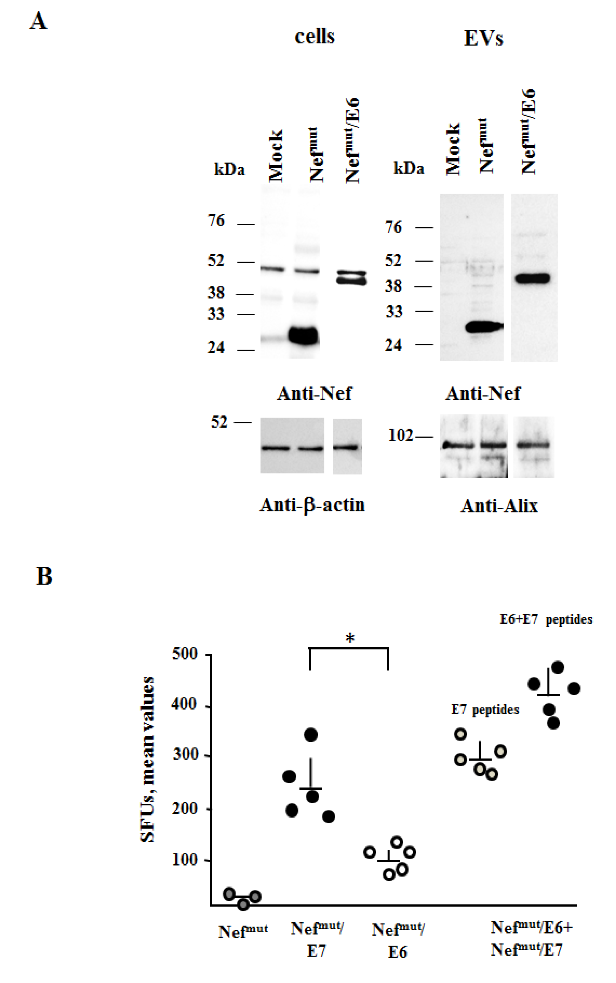 Cancers 13 02263 g002