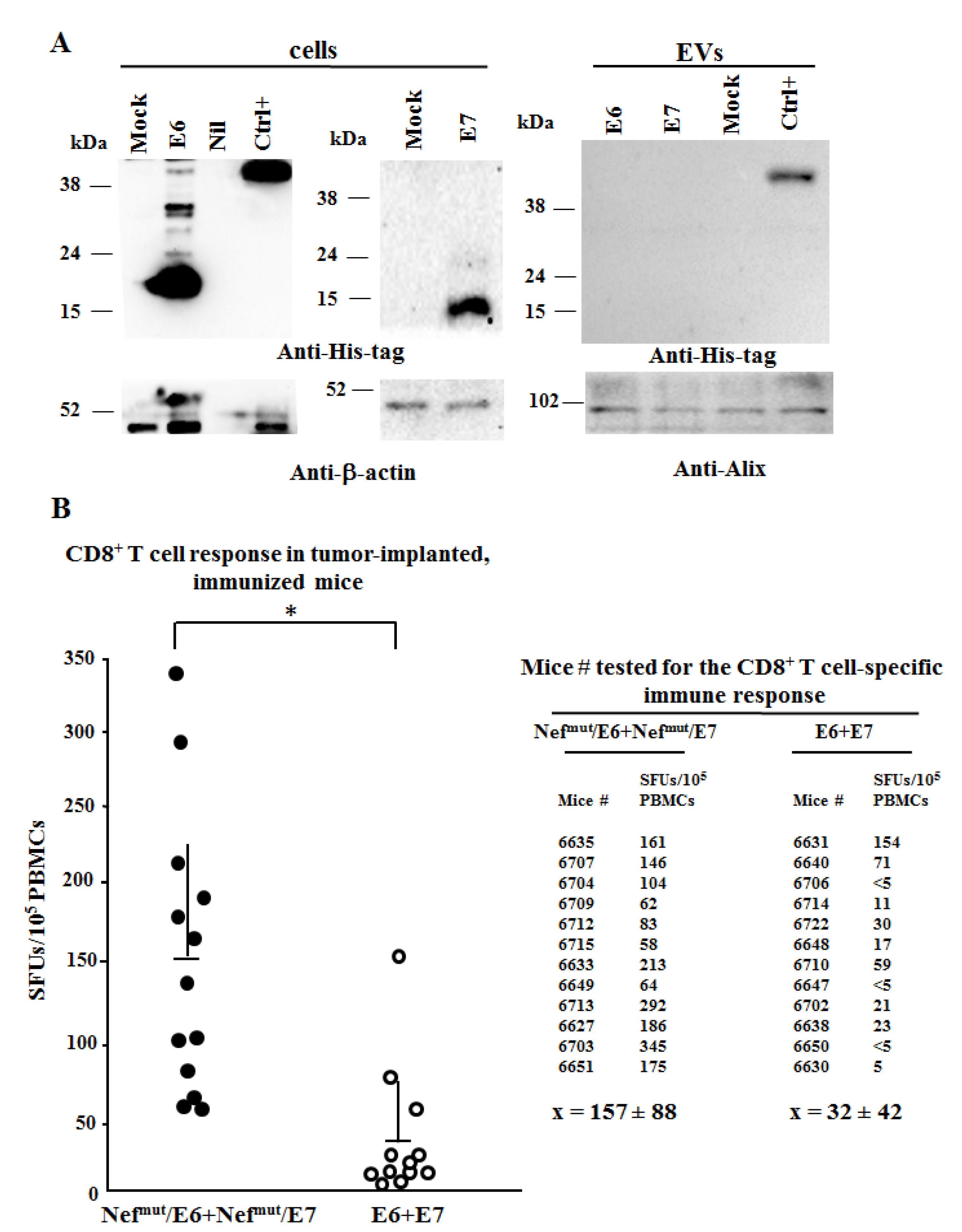 Cancers 13 02263 g004