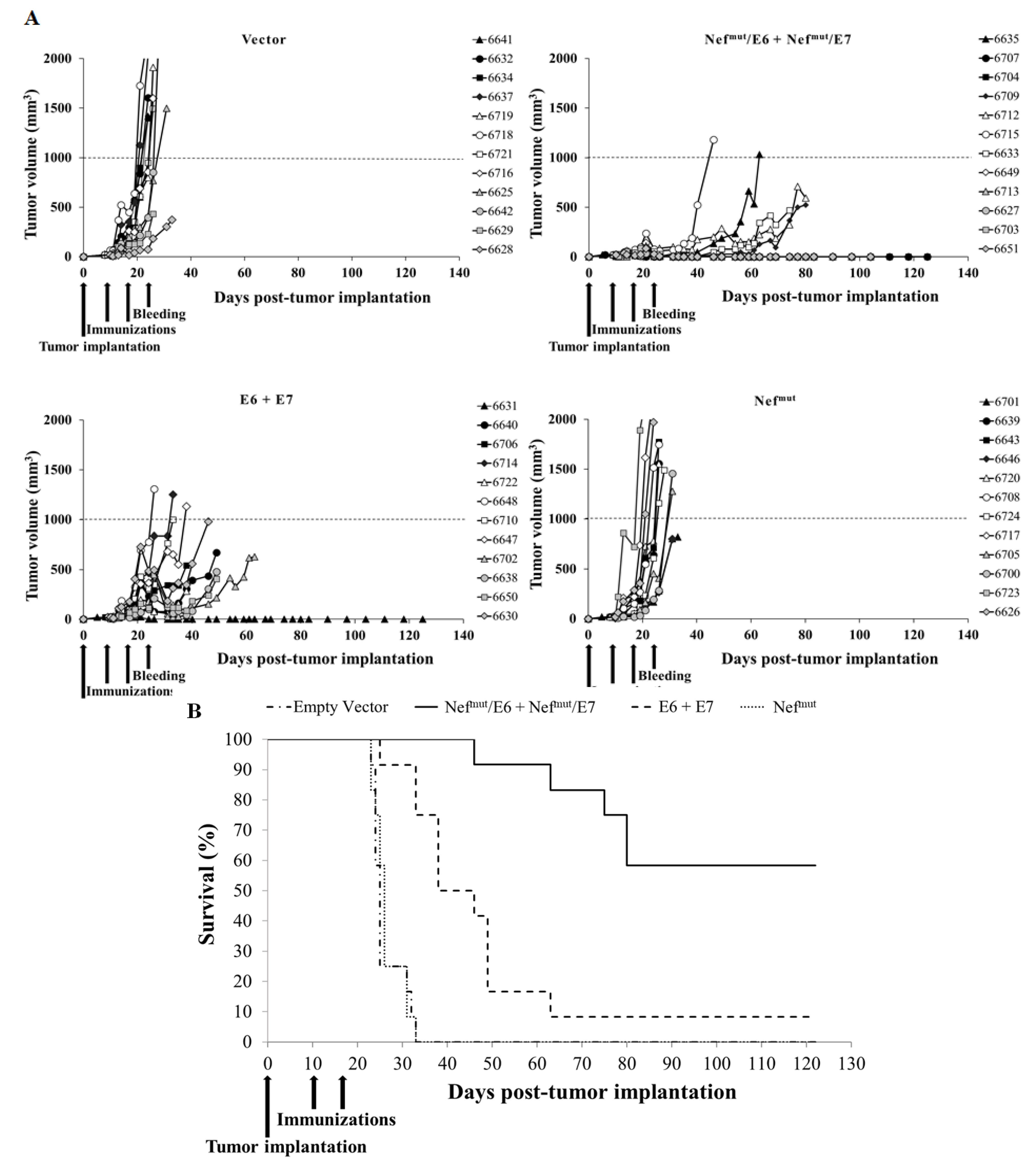 Cancers 13 02263 g005