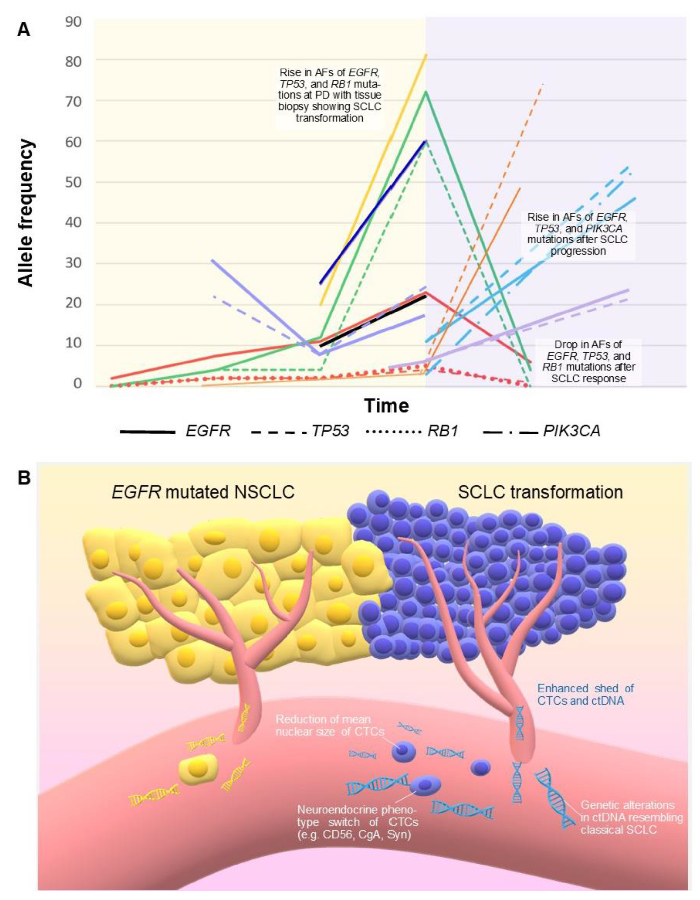 Cancers 13 02265 g003